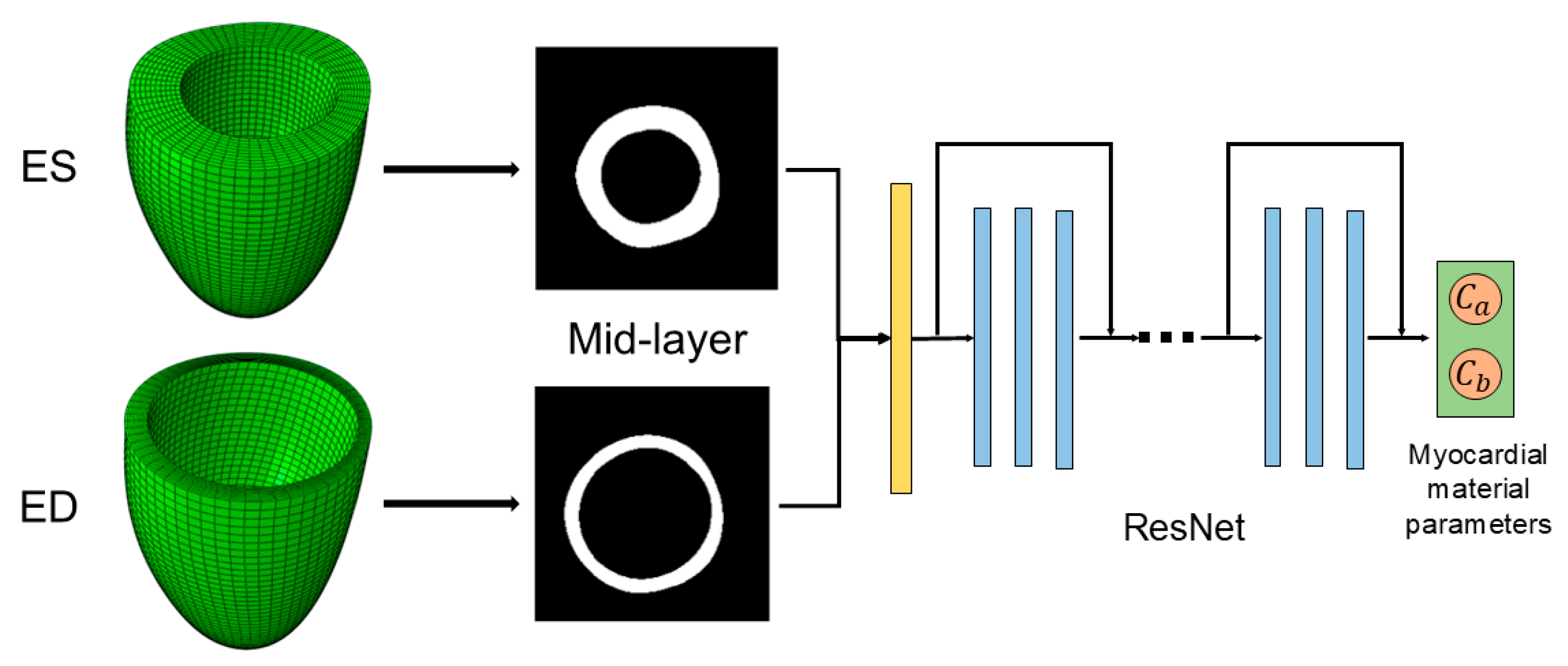 Bioengineering 12 00433 g002