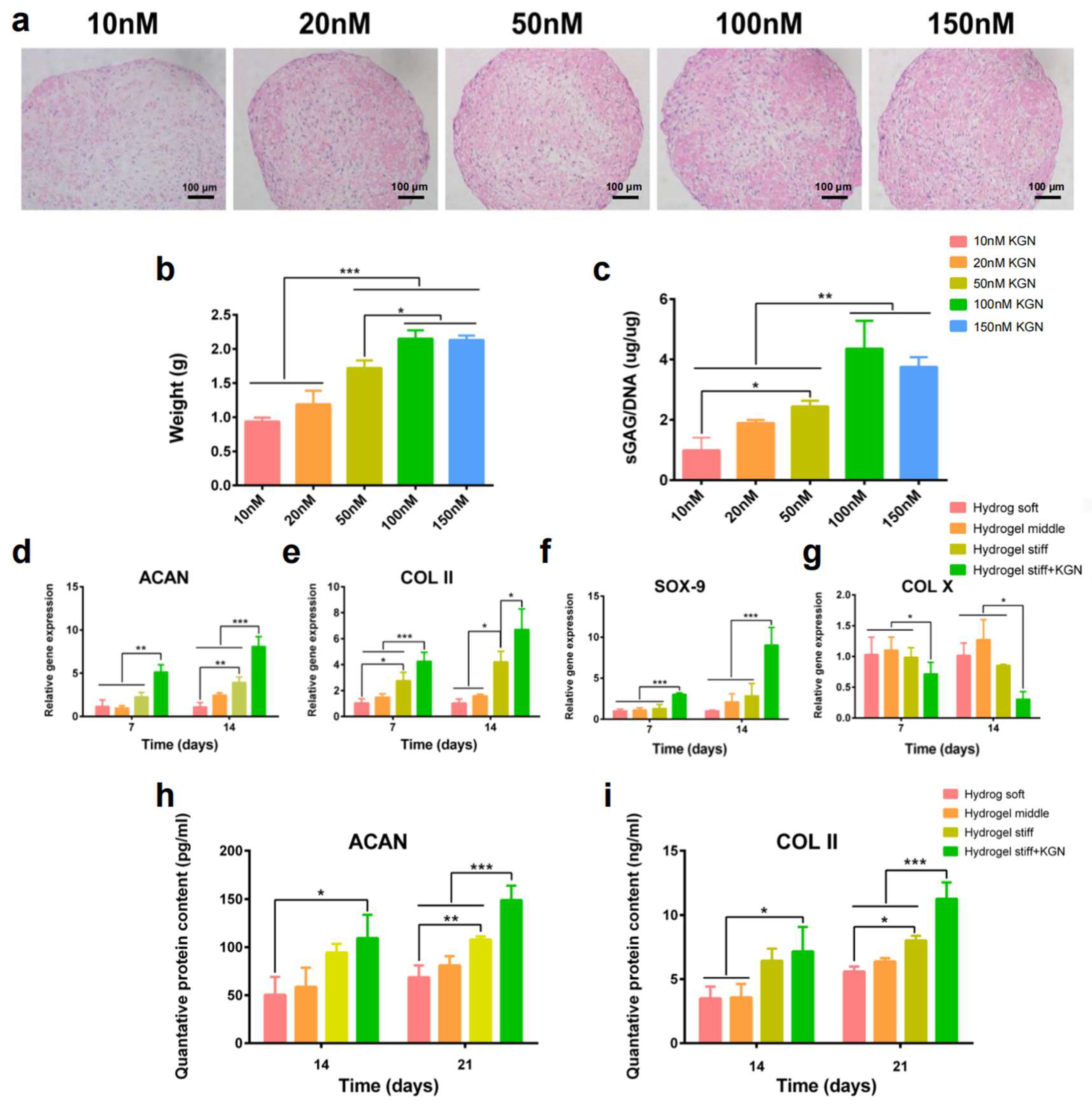 Bioengineering 12 00434 g004