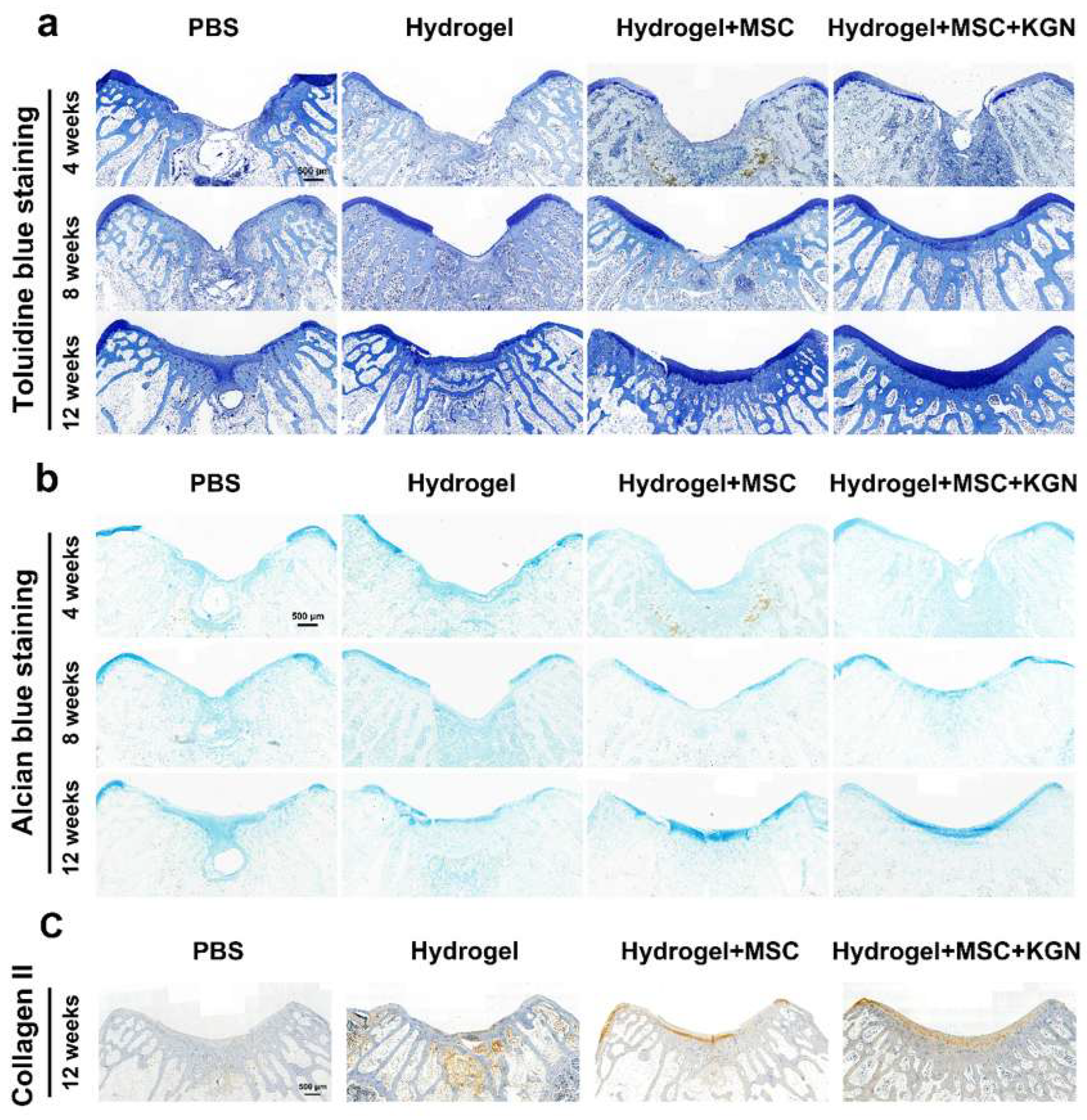 Bioengineering 12 00434 g008