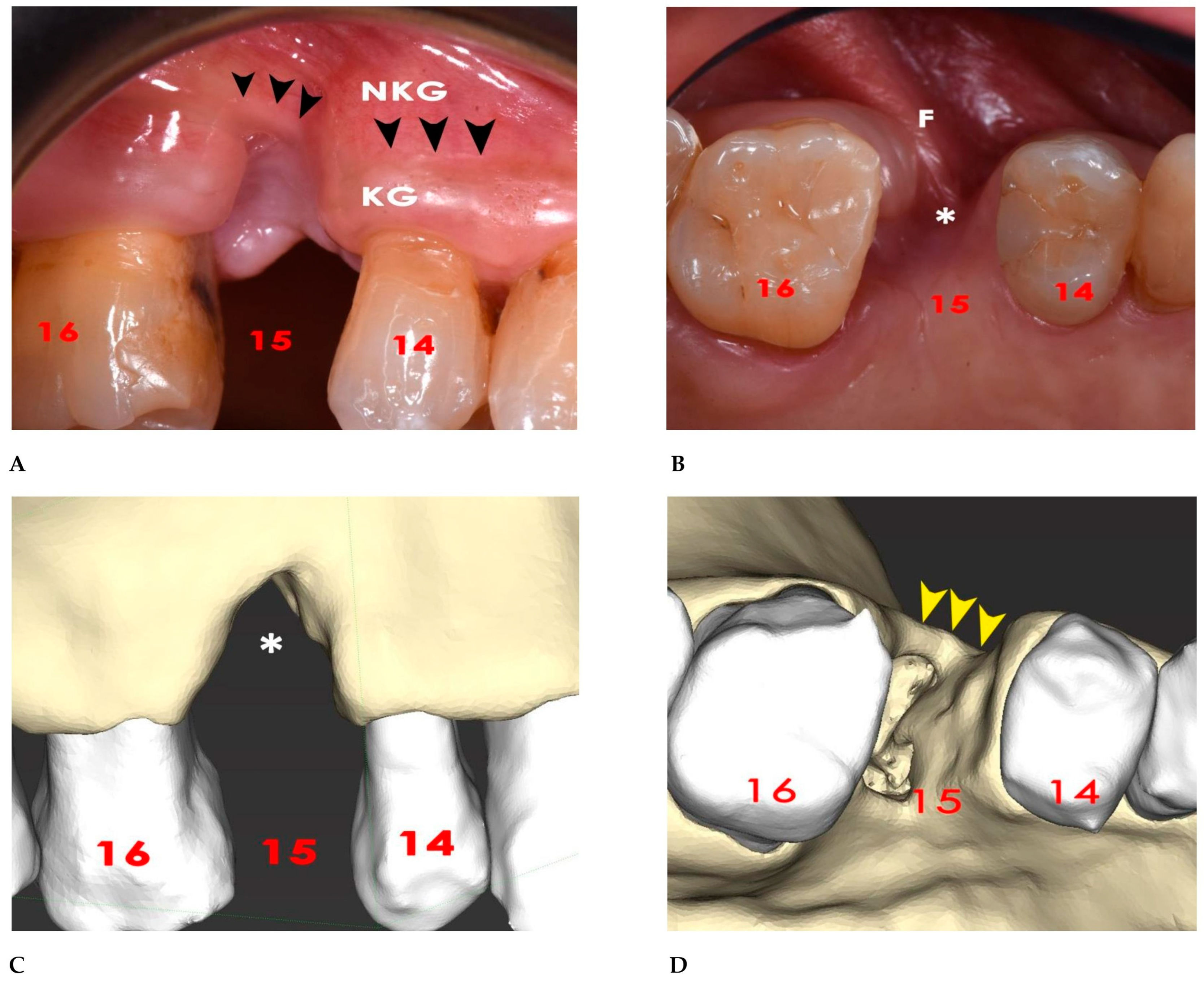 Bioengineering 12 00436 g001