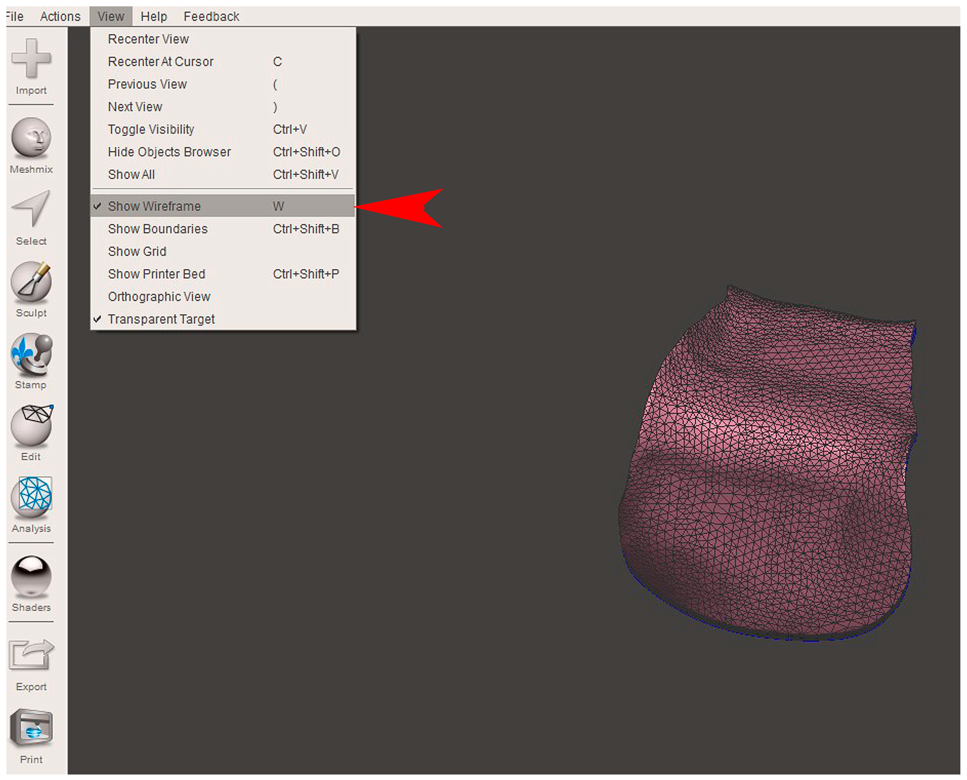 Bioengineering 12 00436 g011