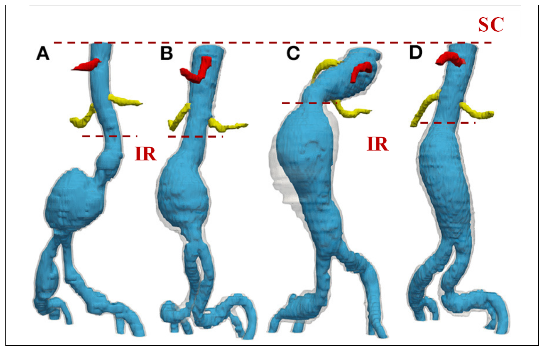 Bioengineering 12 00437 g003 Bioengineering 12 00437 g003