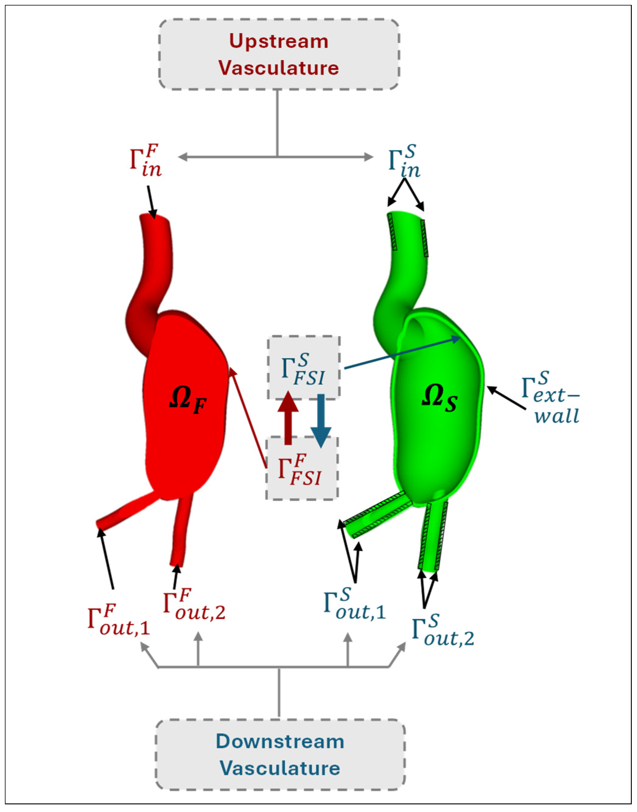 Bioengineering 12 00437 g004 Bioengineering 12 00437 g004
