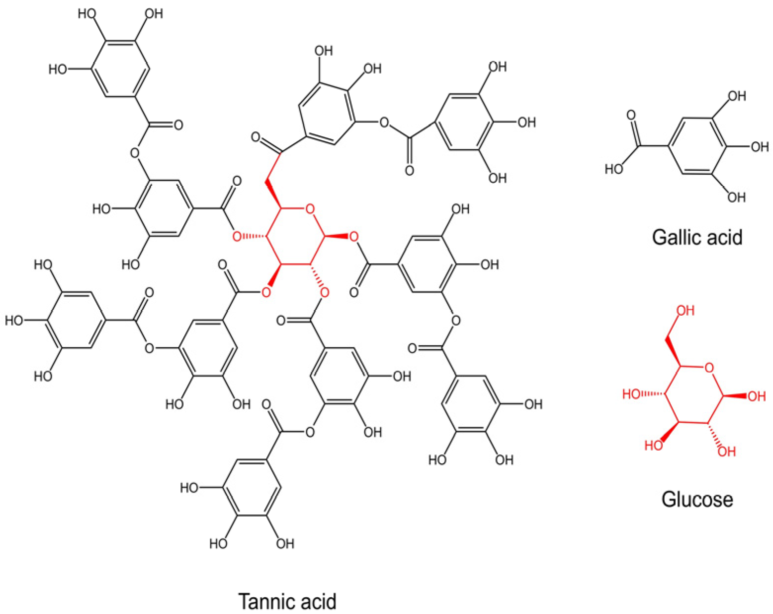 Bioengineering 12 00438 g001