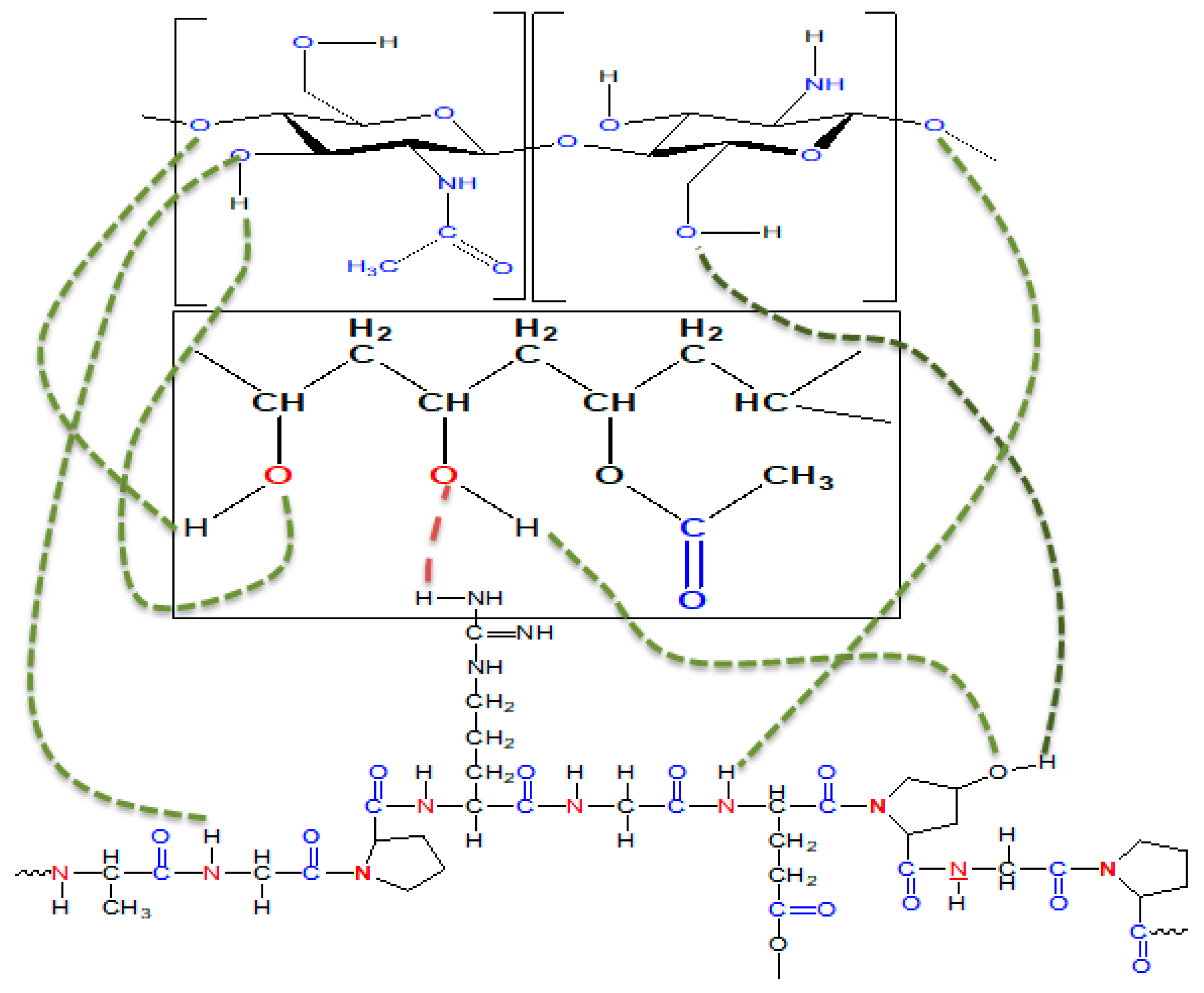 Bioengineering 12 00439 g003b