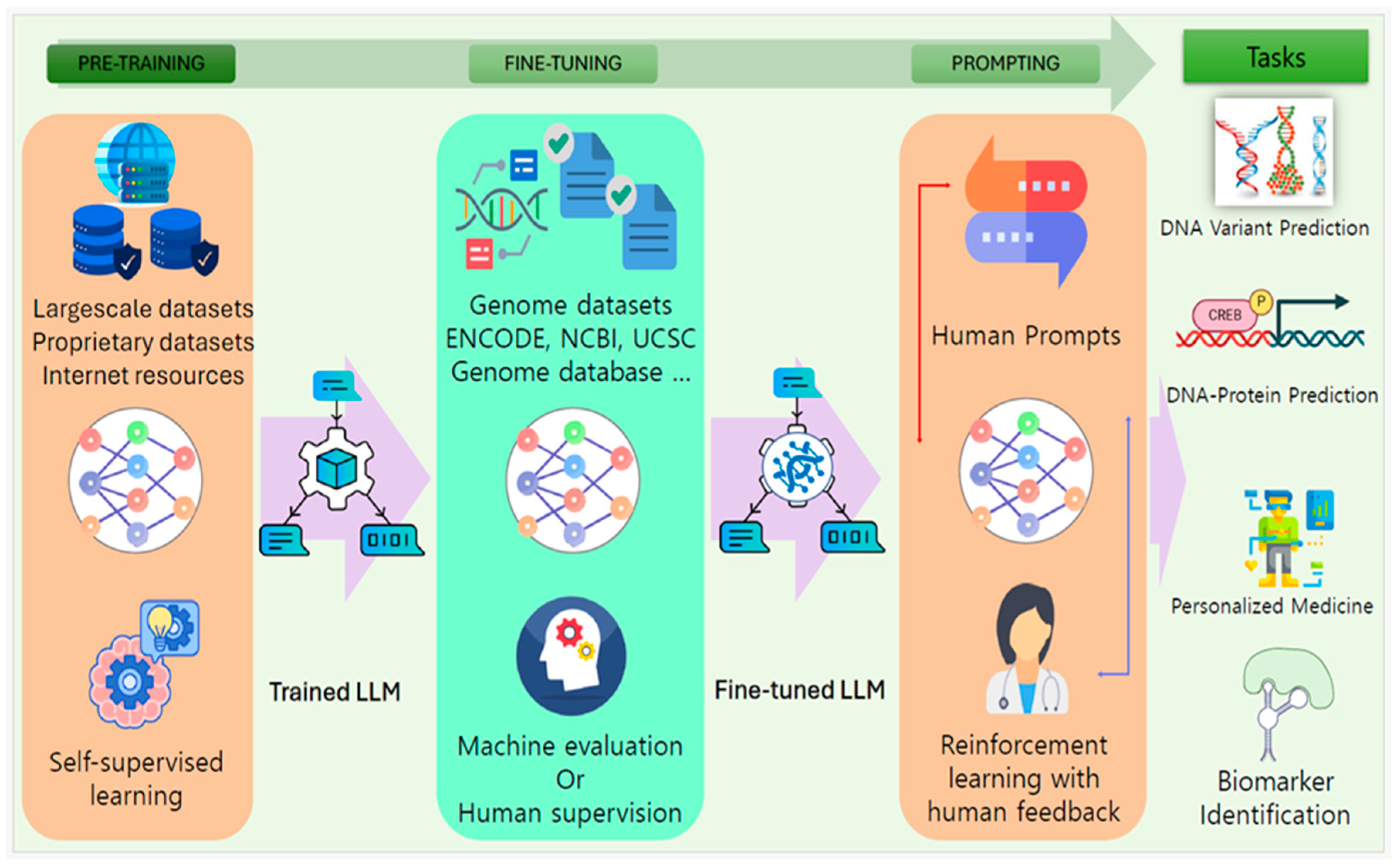 Bioengineering 12 00440 g004