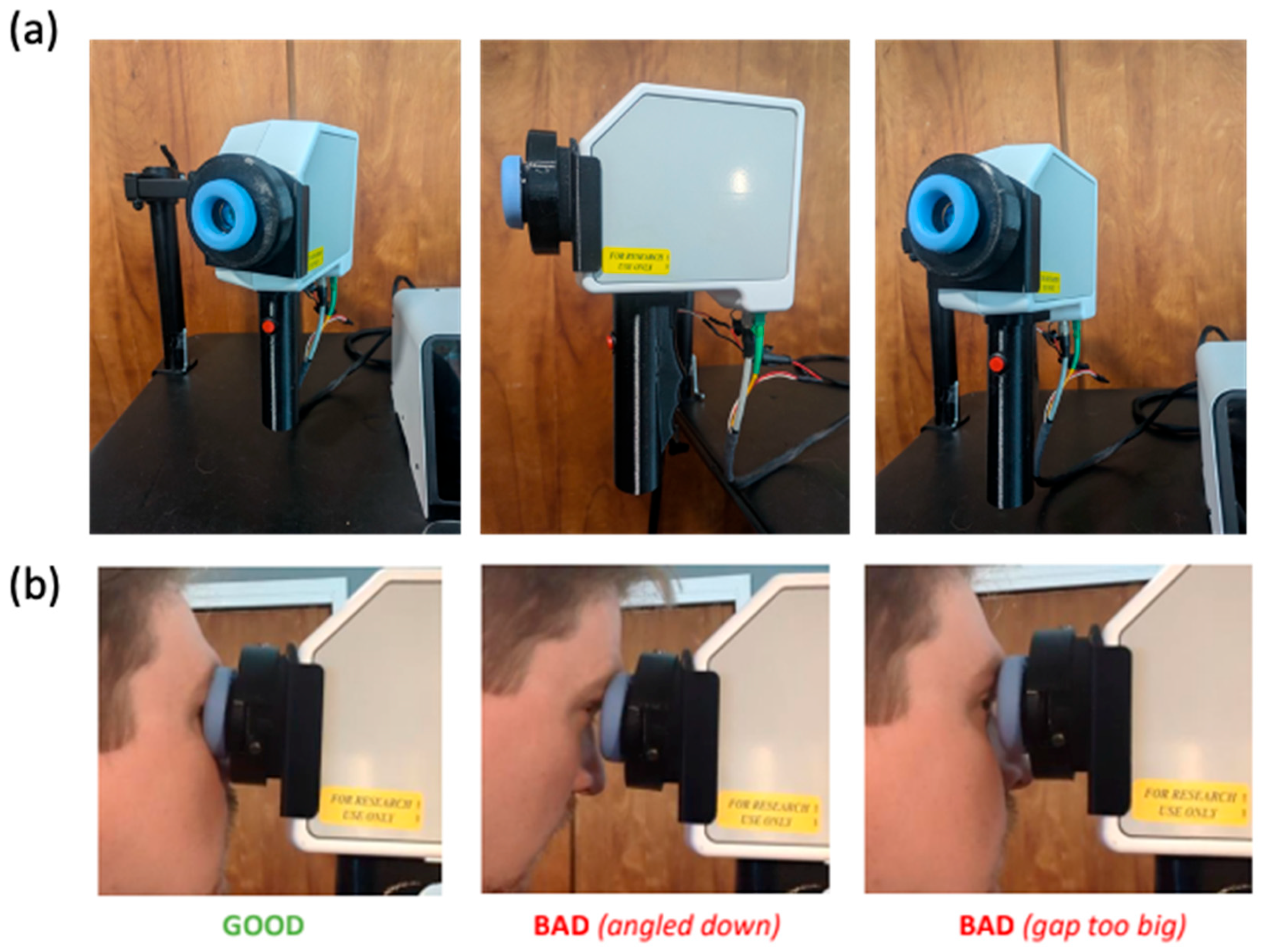 Bioengineering 12 00441 g001