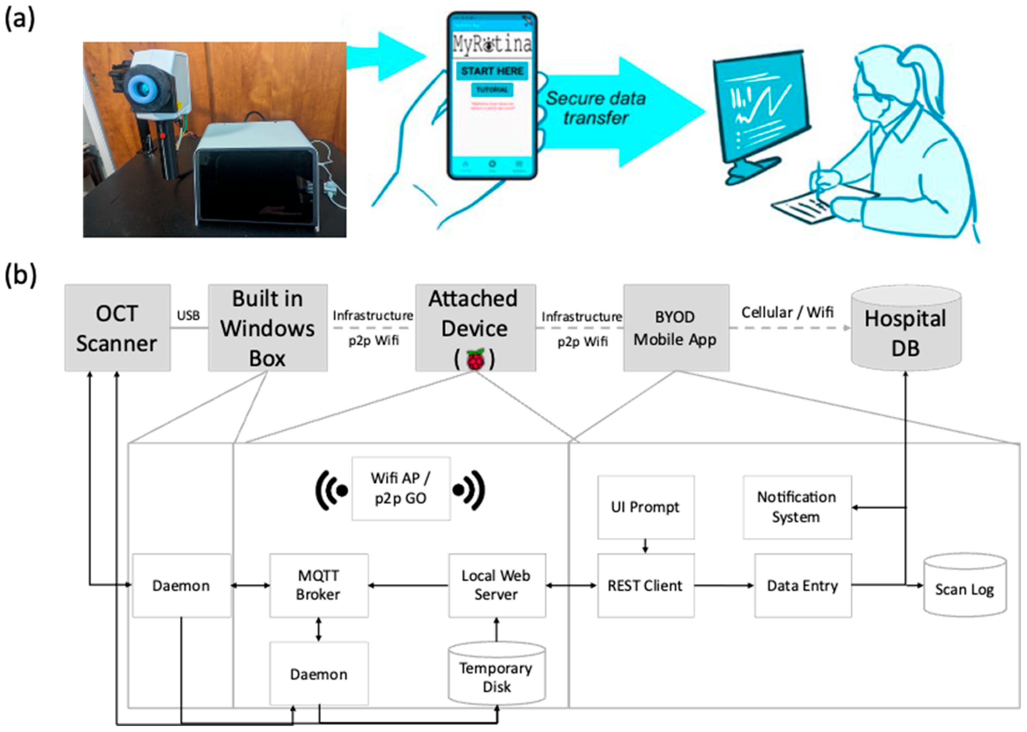 Bioengineering 12 00441 g002