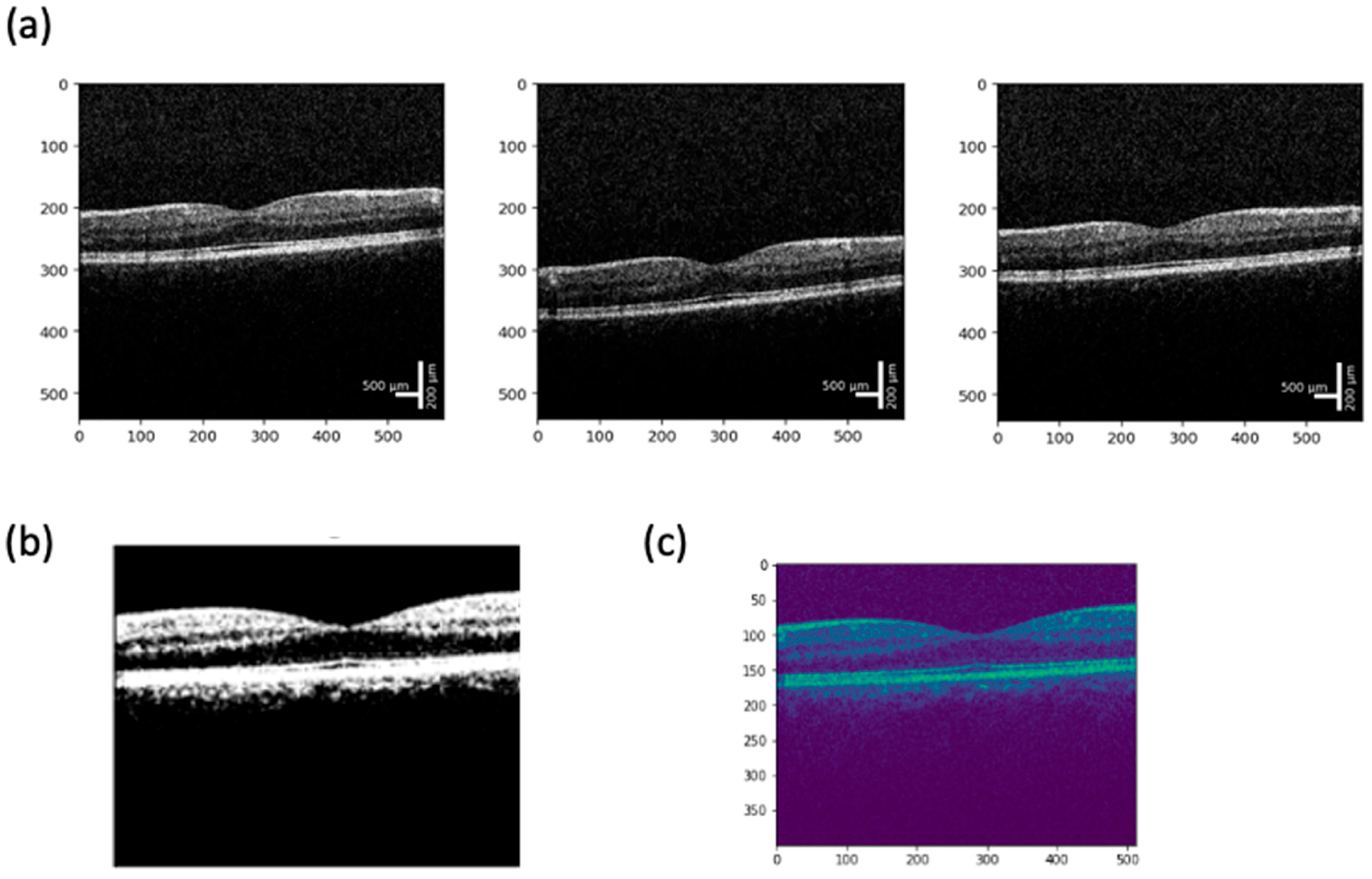 Bioengineering 12 00441 g003