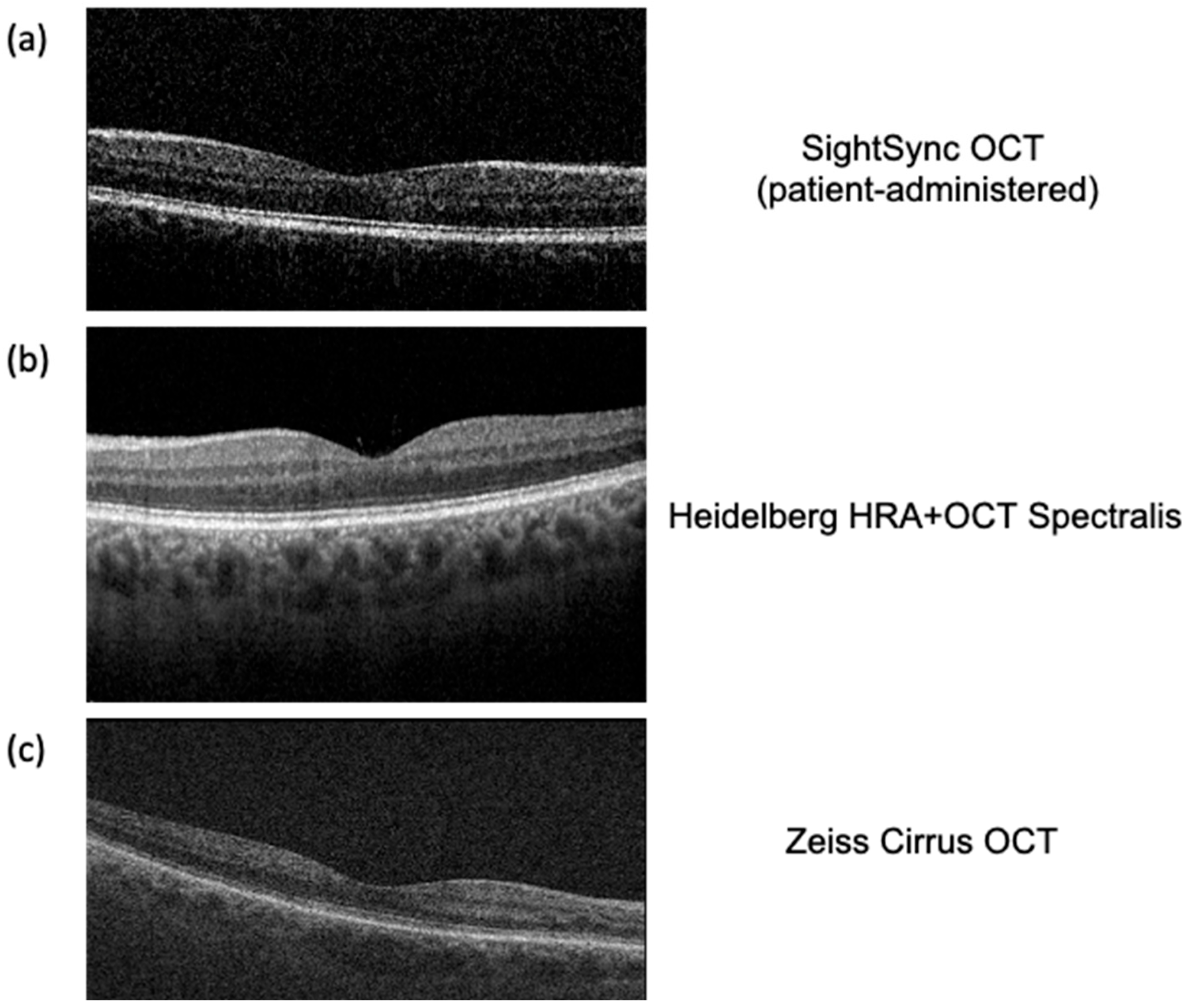 Bioengineering 12 00441 g004