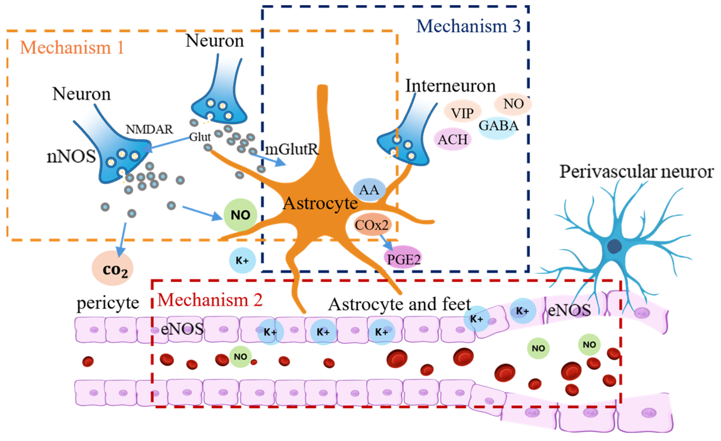 Bioengineering 12 00442 g001