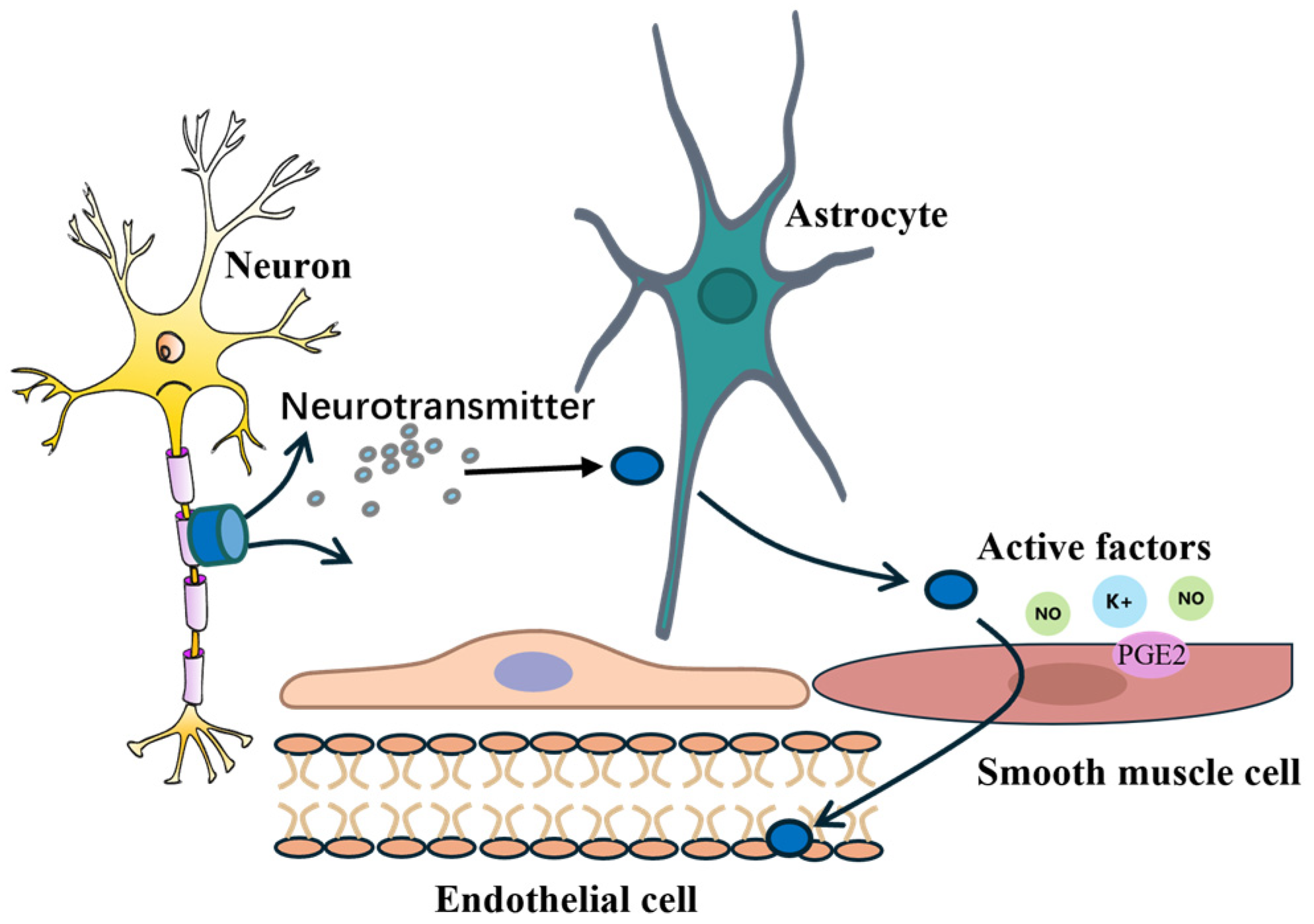 Bioengineering 12 00442 g002
