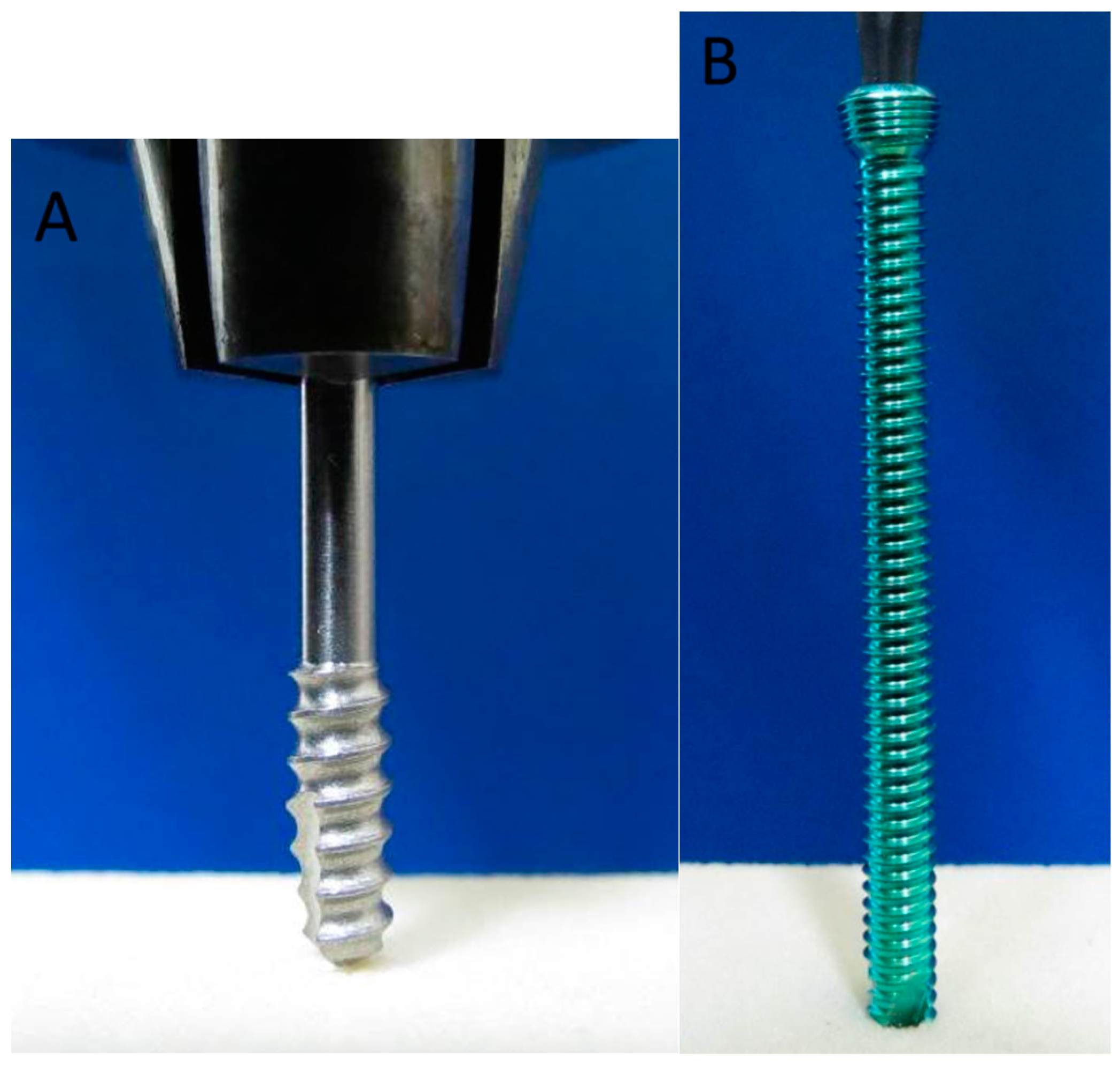 Bioengineering 12 00444 g002