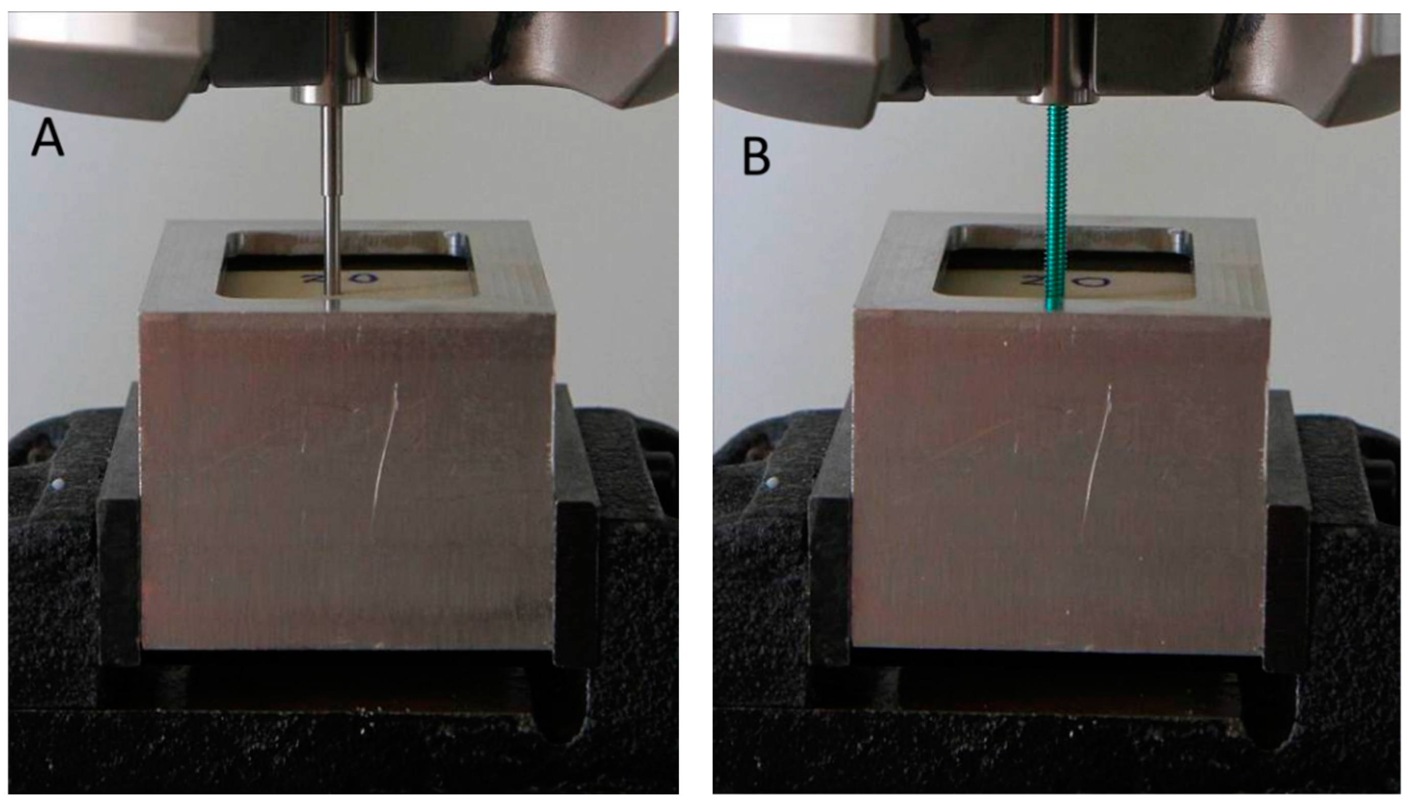 Bioengineering 12 00444 g003