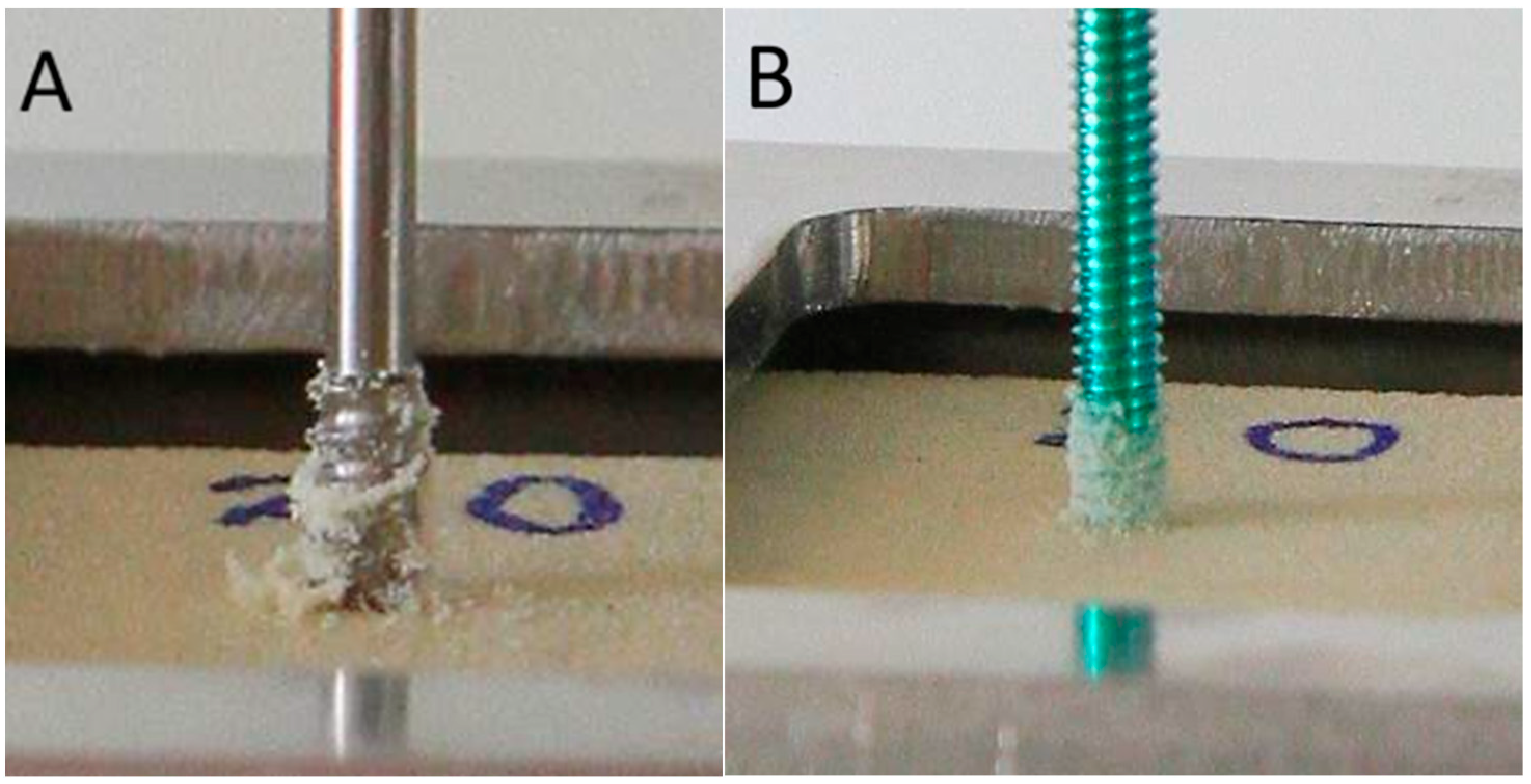 Bioengineering 12 00444 g006