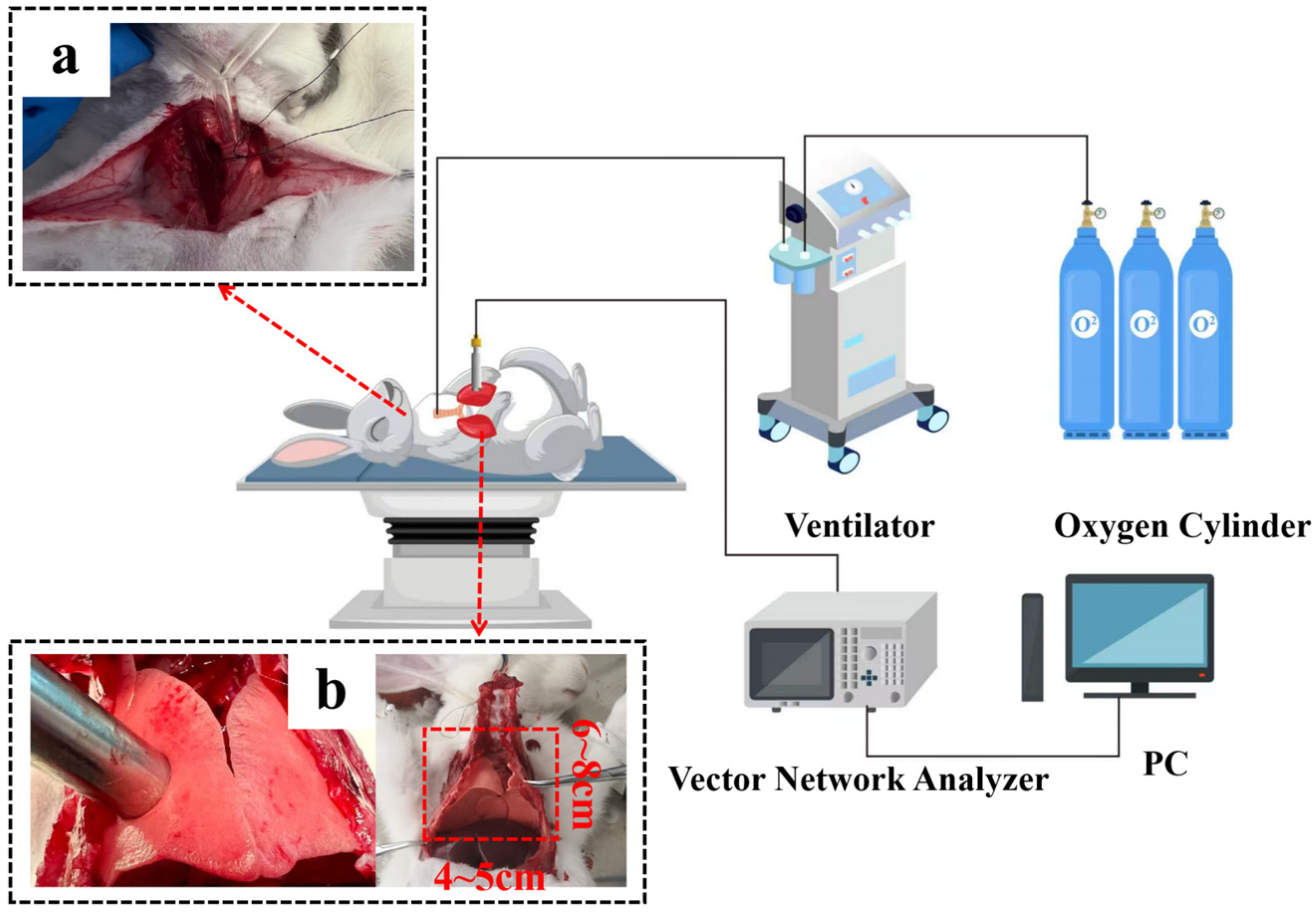 Bioengineering 12 00445 g002