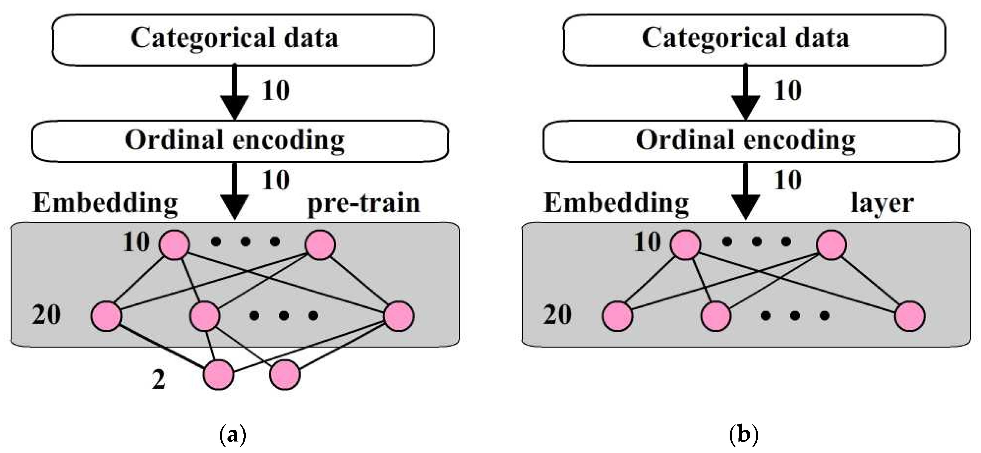 Bioengineering 12 00447 g003