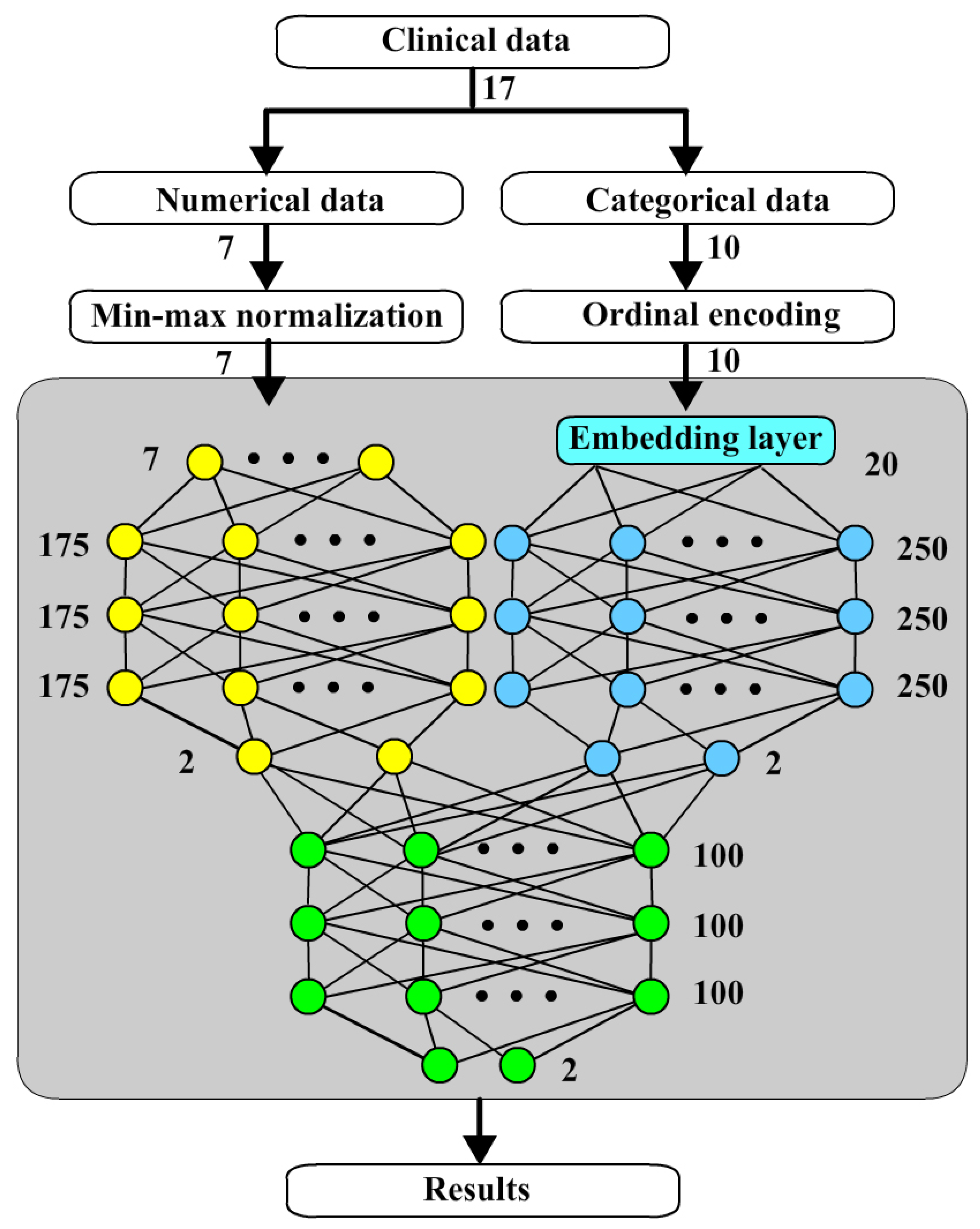 Bioengineering 12 00447 g005