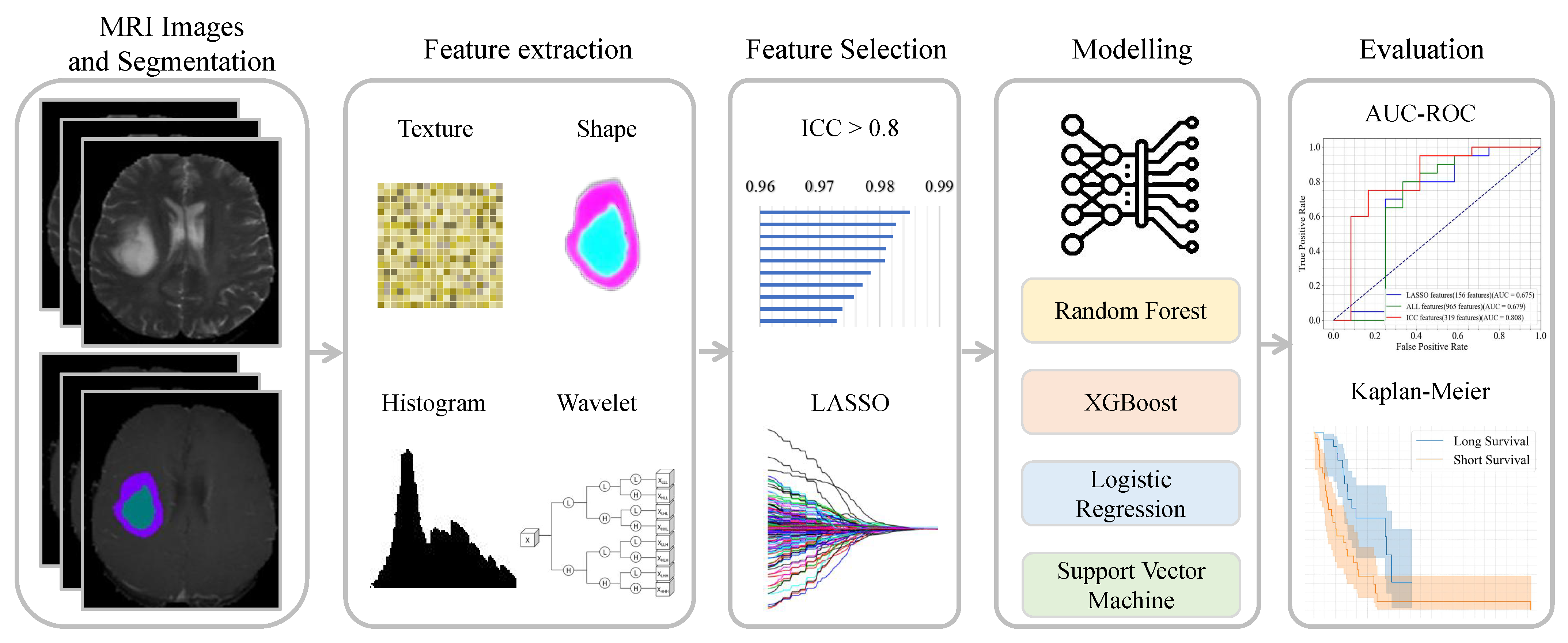 Bioengineering 12 00450 g001