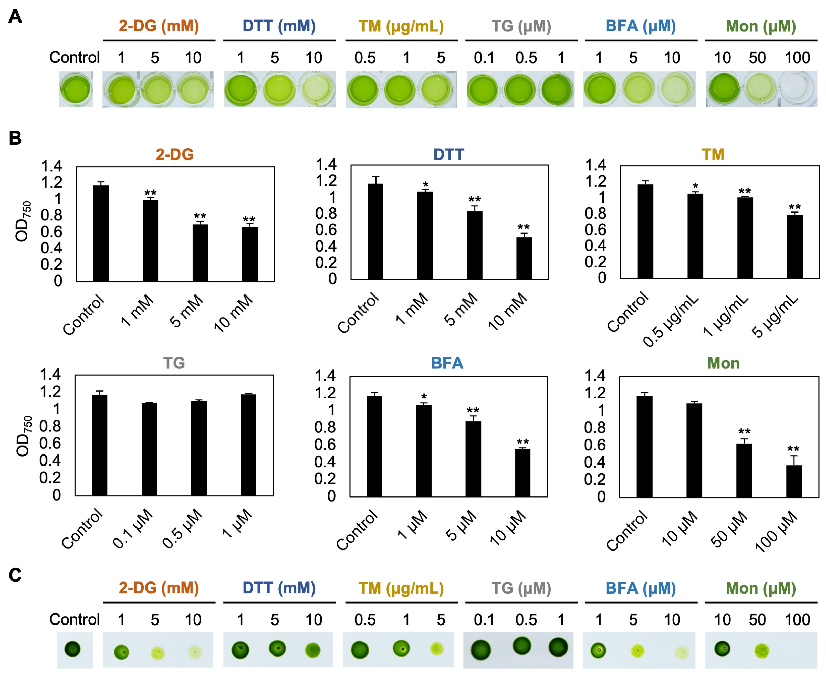 Bioengineering 12 00452 g002