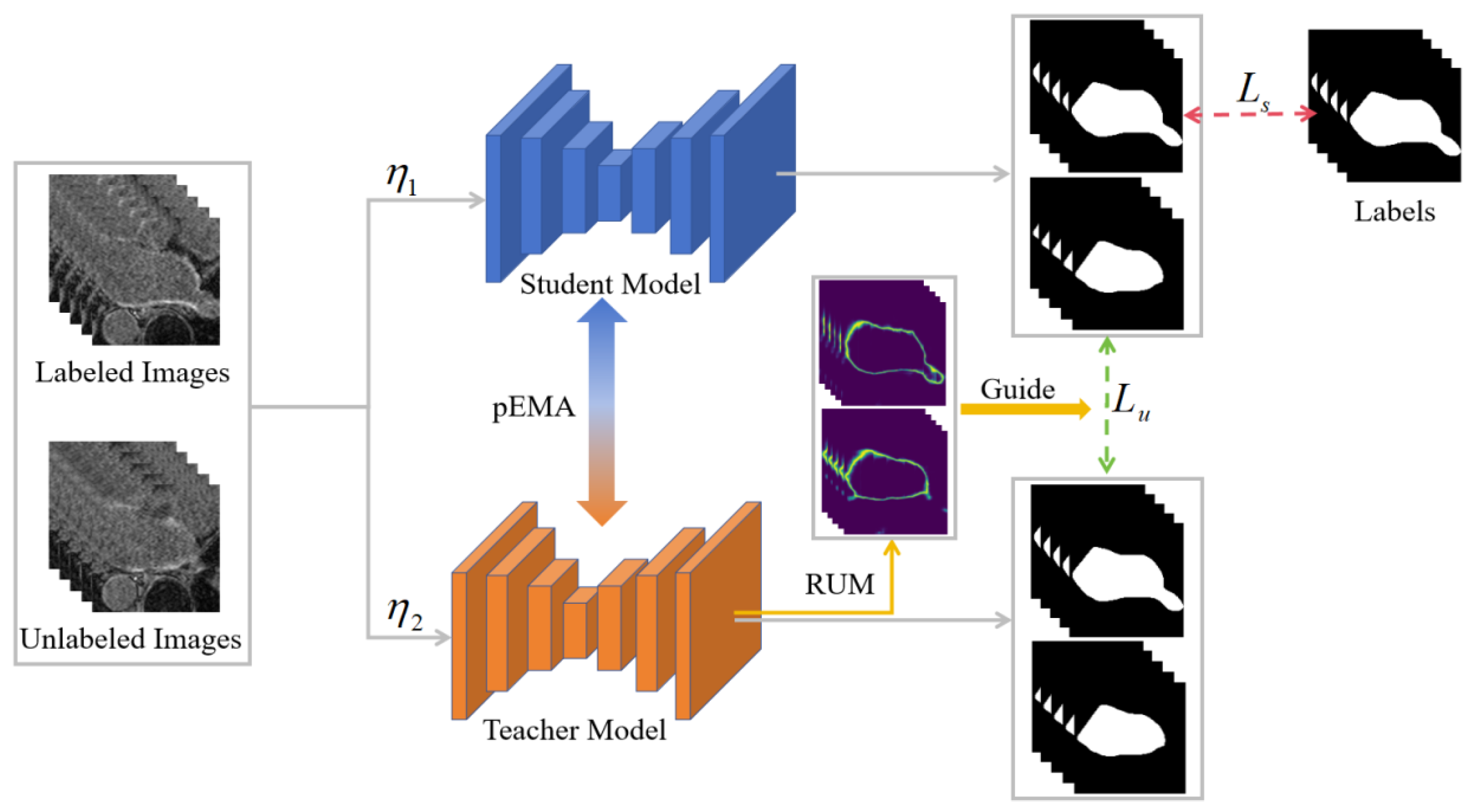 Bioengineering 12 00453 g001
