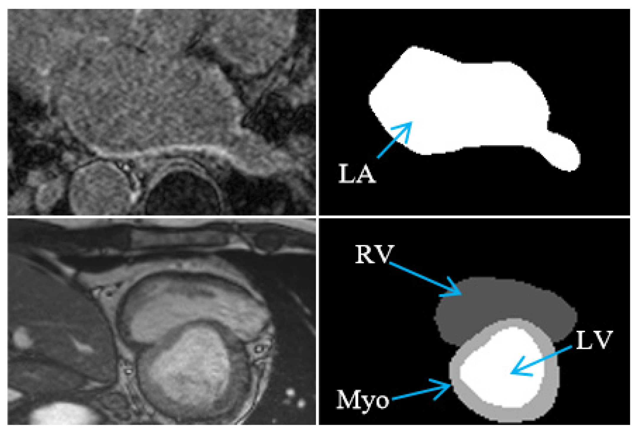 Bioengineering 12 00453 g003