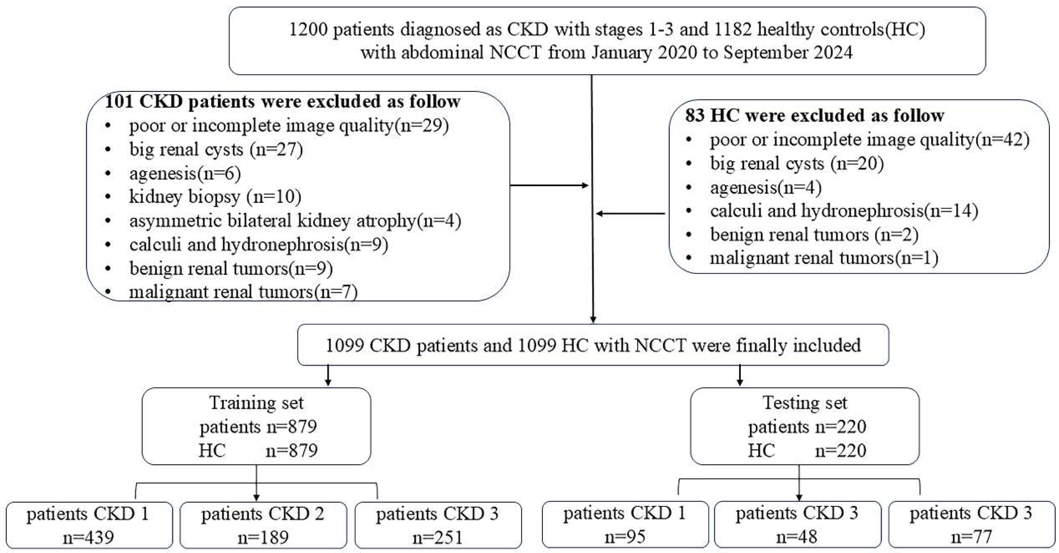 Bioengineering 12 00454 g001