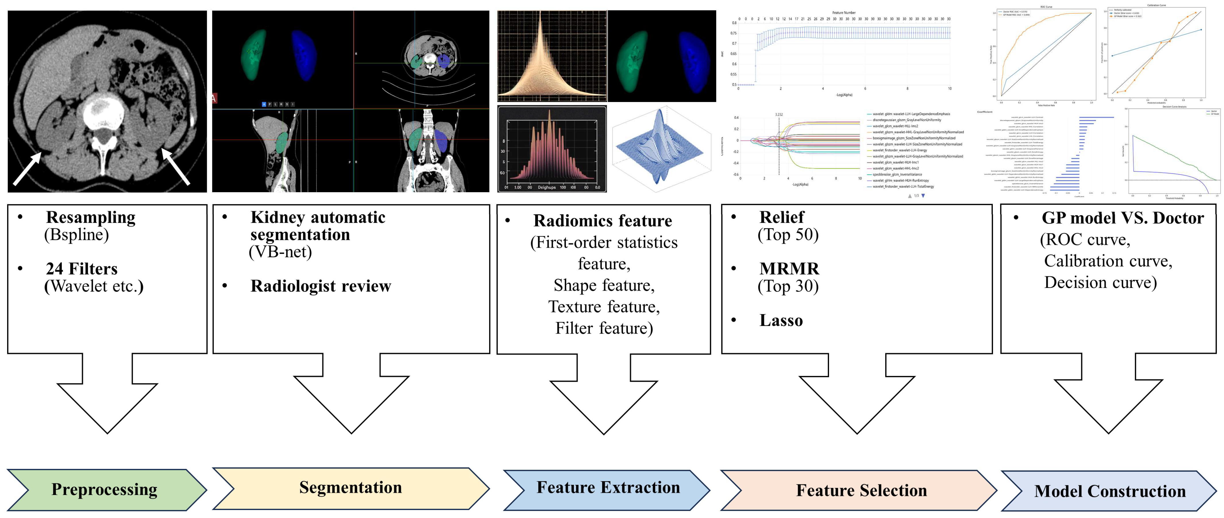 Bioengineering 12 00454 g002