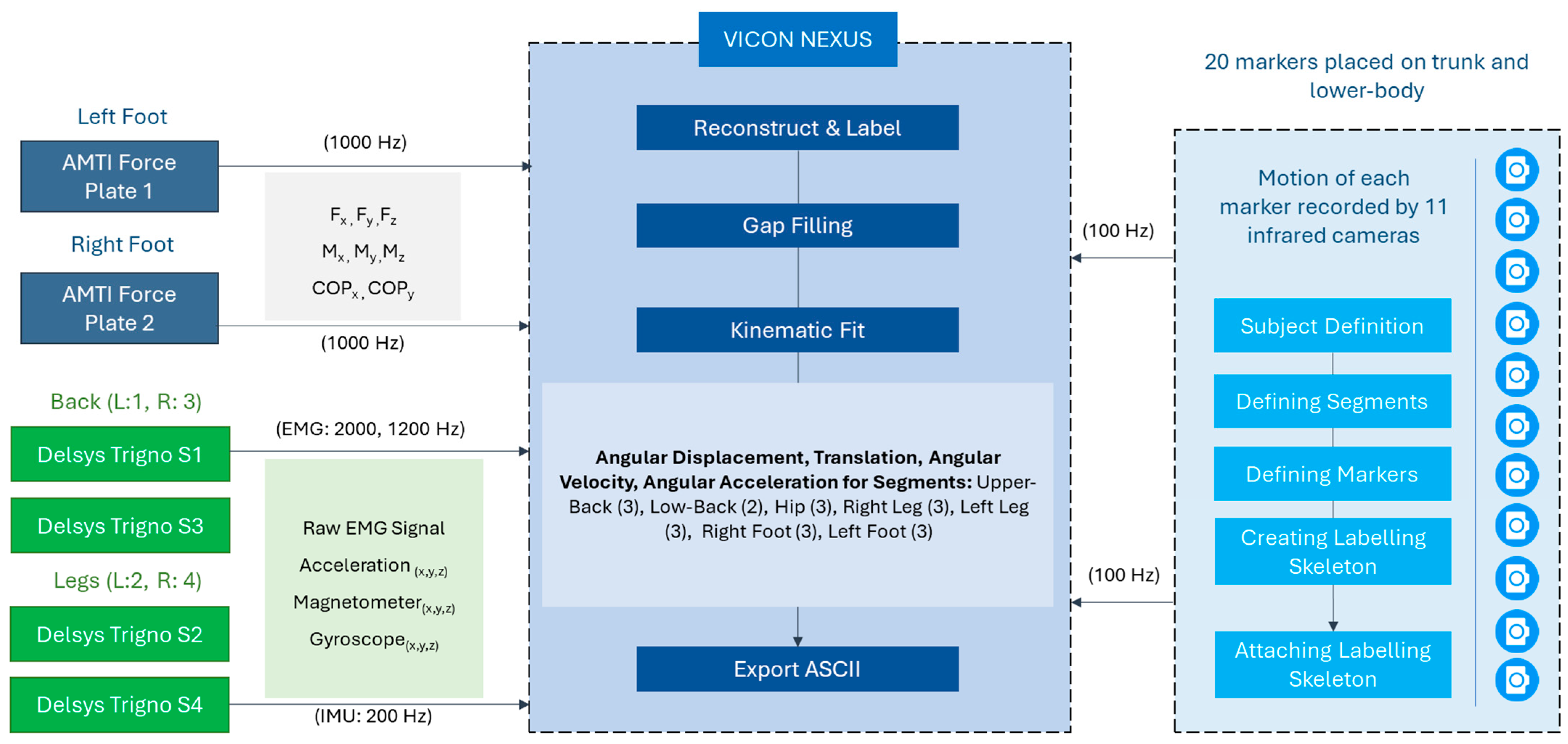 Bioengineering 12 00456 g004