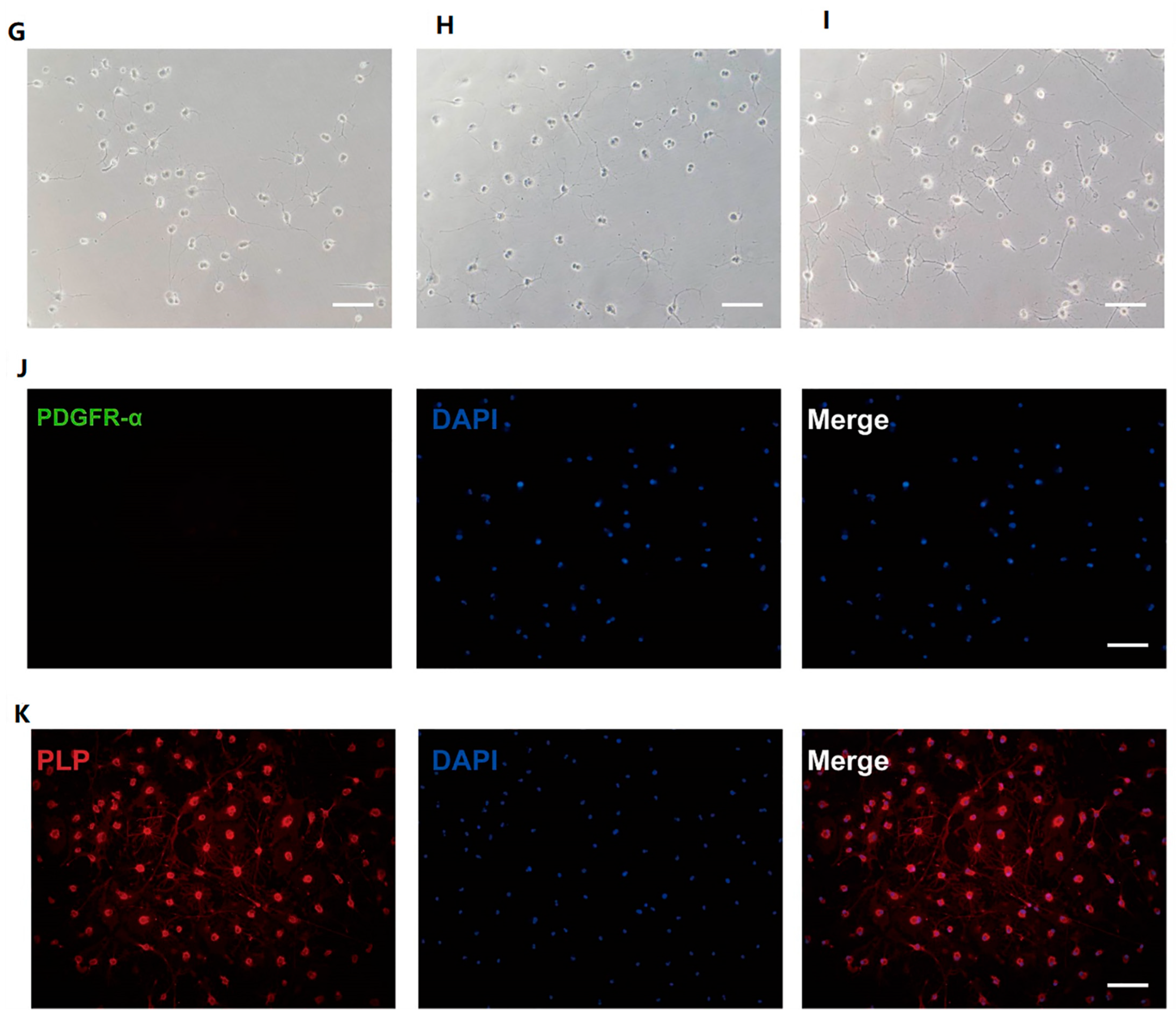 Bioengineering 12 00457 g001b