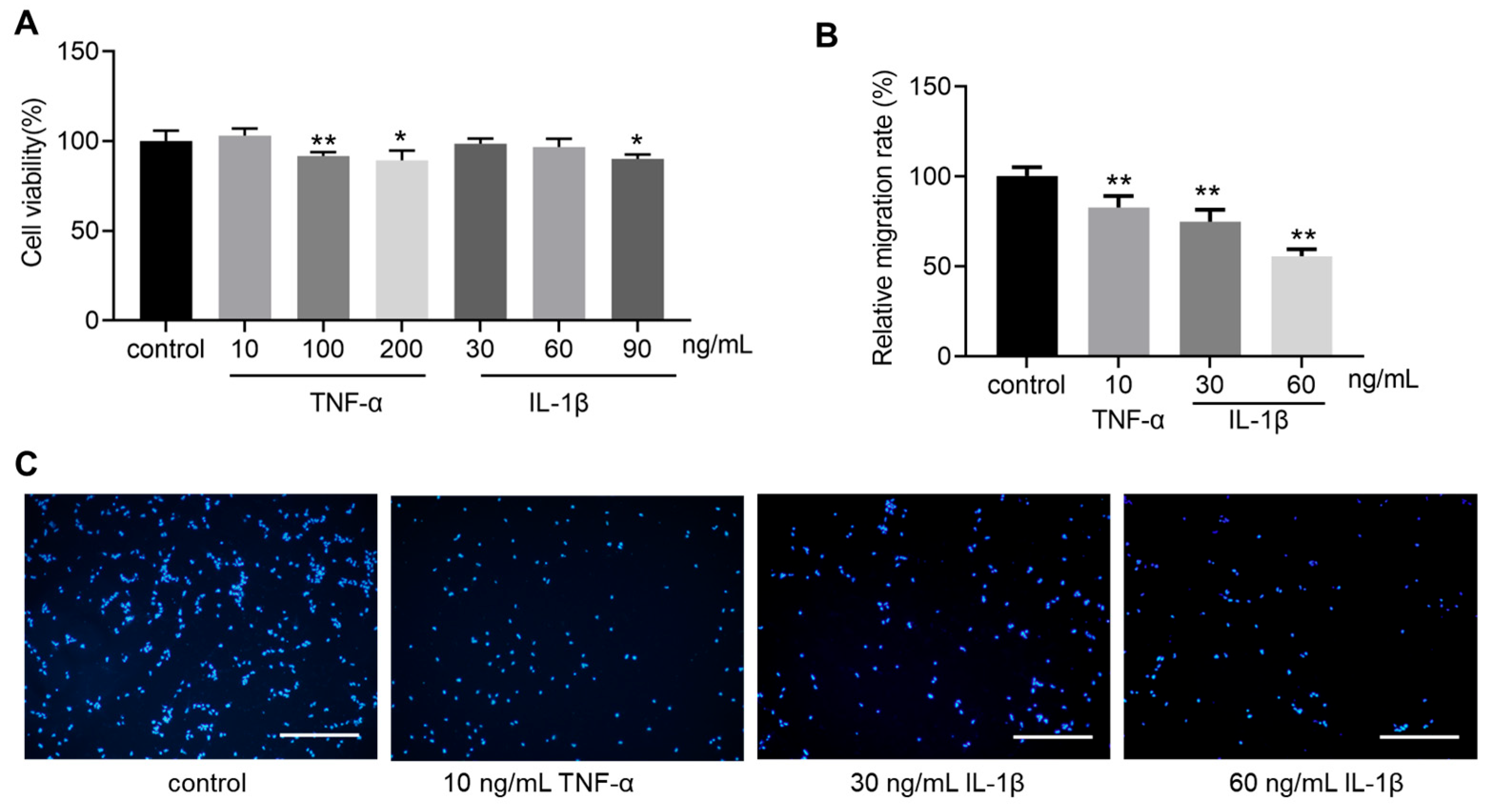 Bioengineering 12 00457 g002