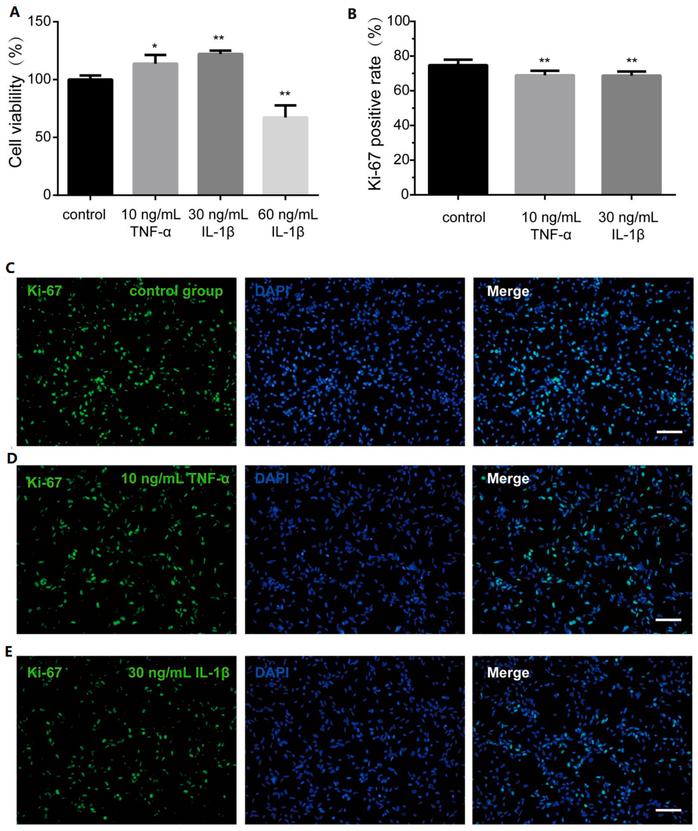Bioengineering 12 00457 g003