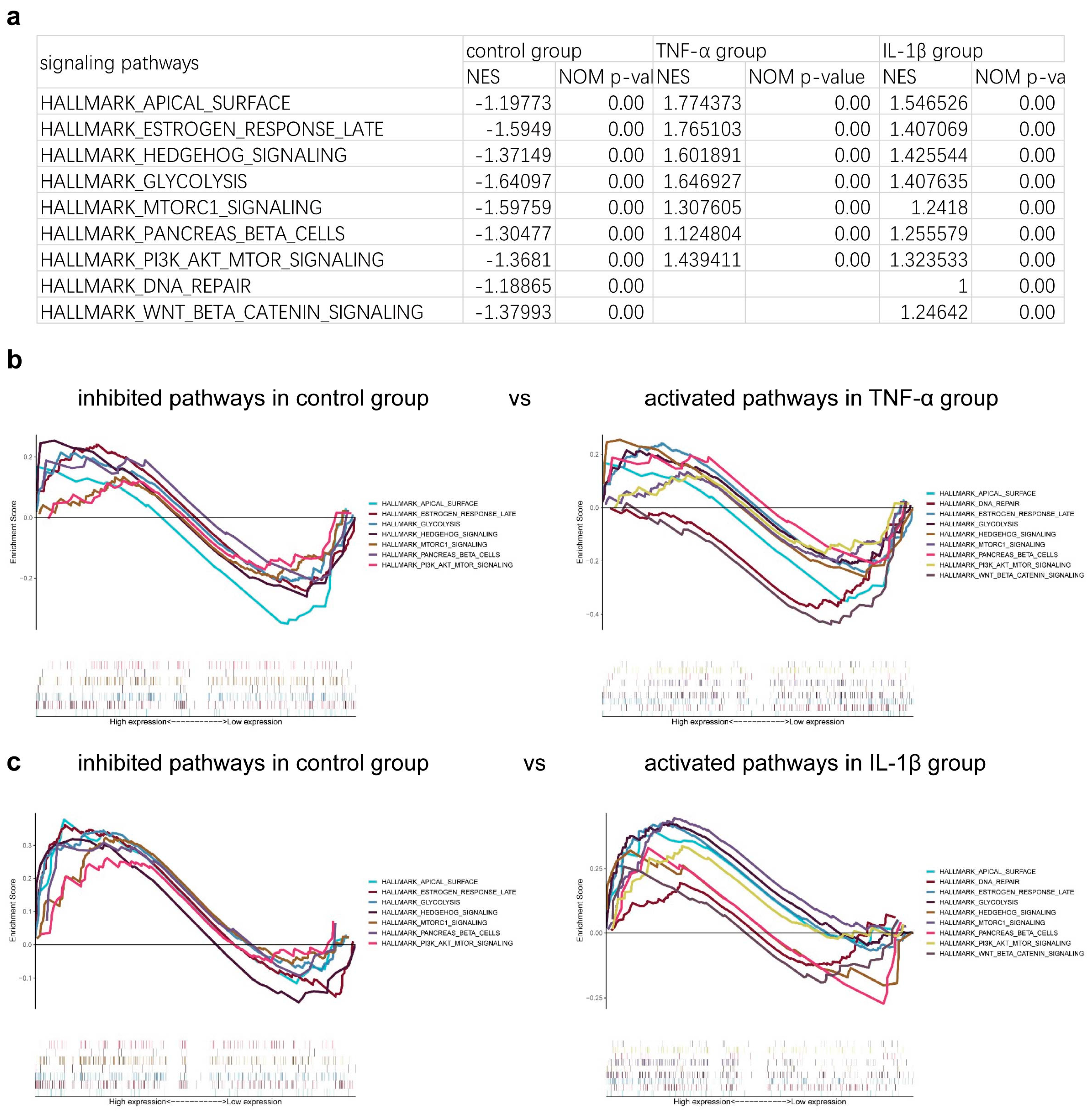 Bioengineering 12 00457 g005