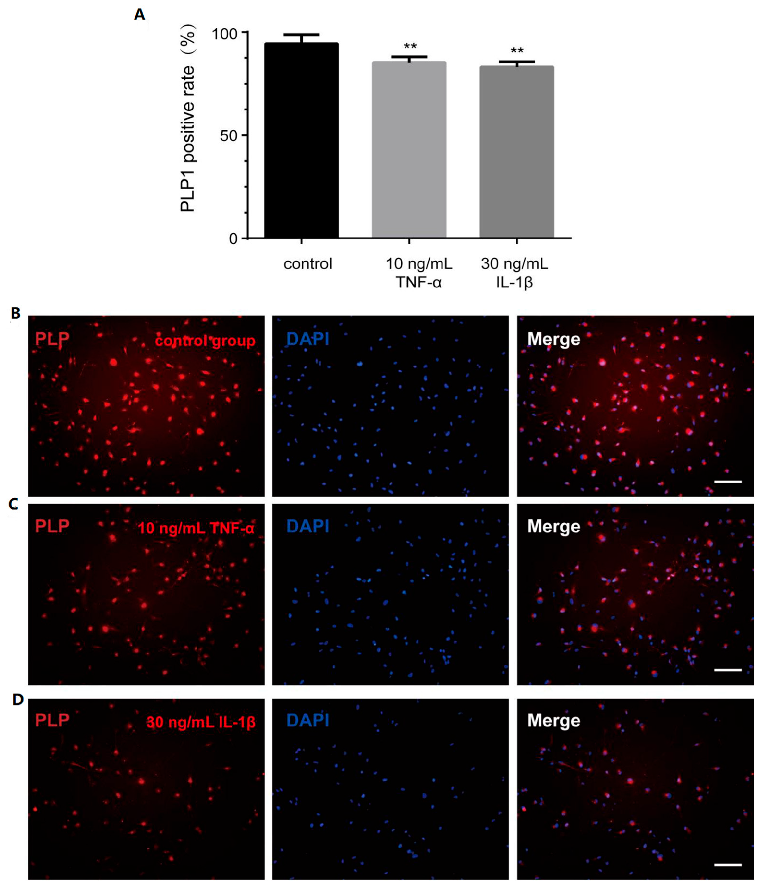Bioengineering 12 00457 g006