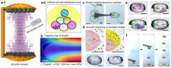 Biological Acoustic Levitation and Its Potential Application for ...