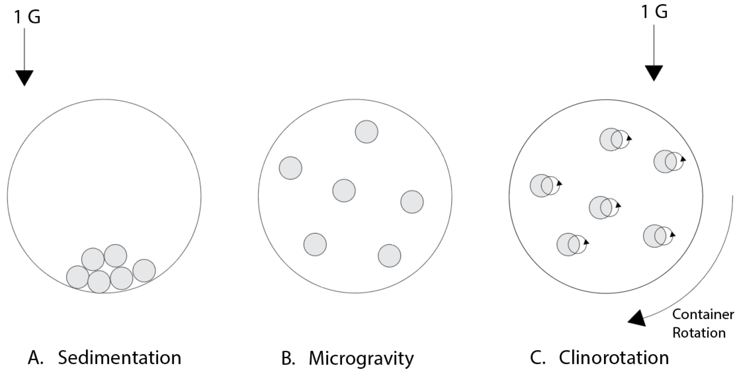 Bioengineering 12 00458 g008