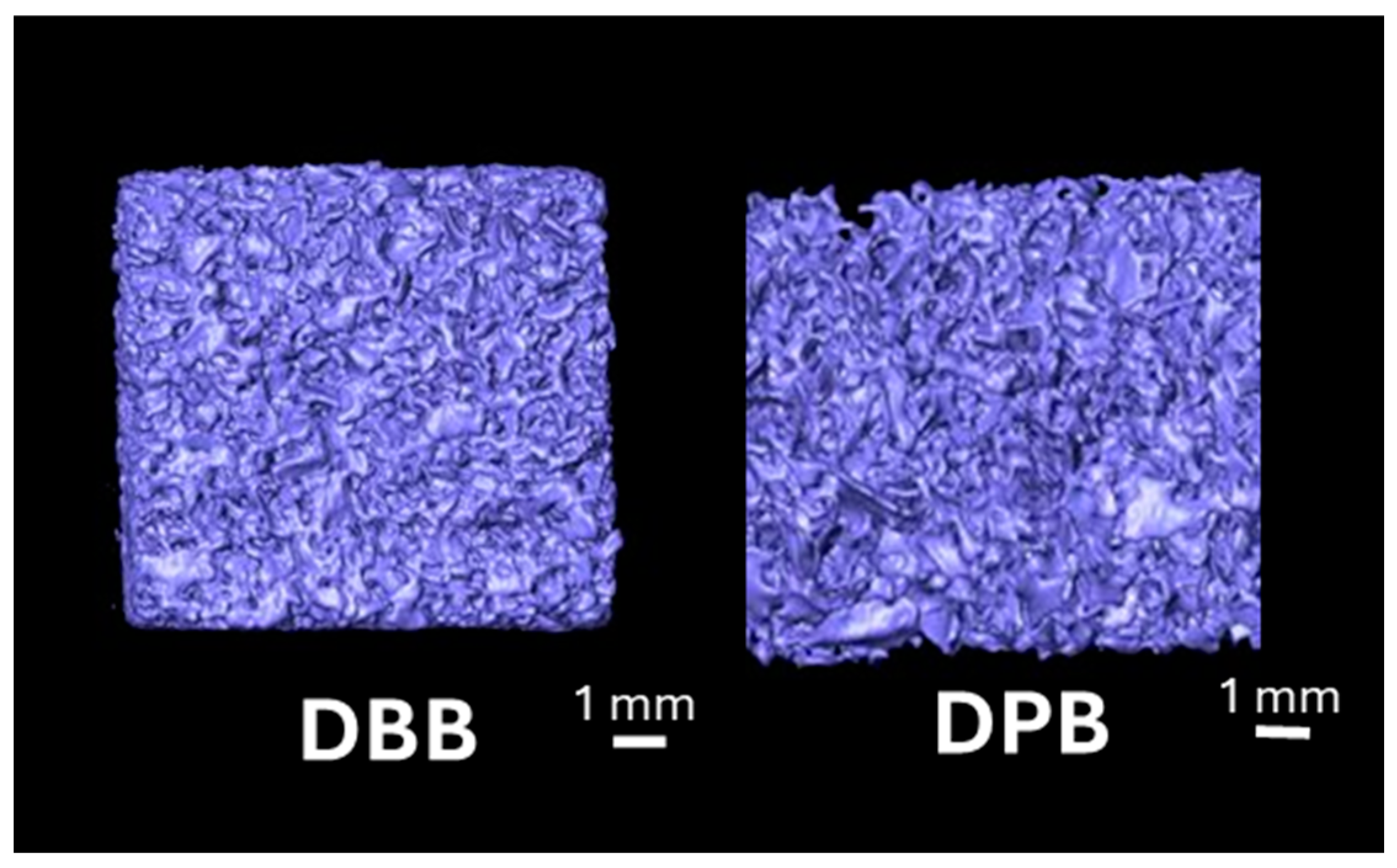 Bioengineering 12 00459 g004