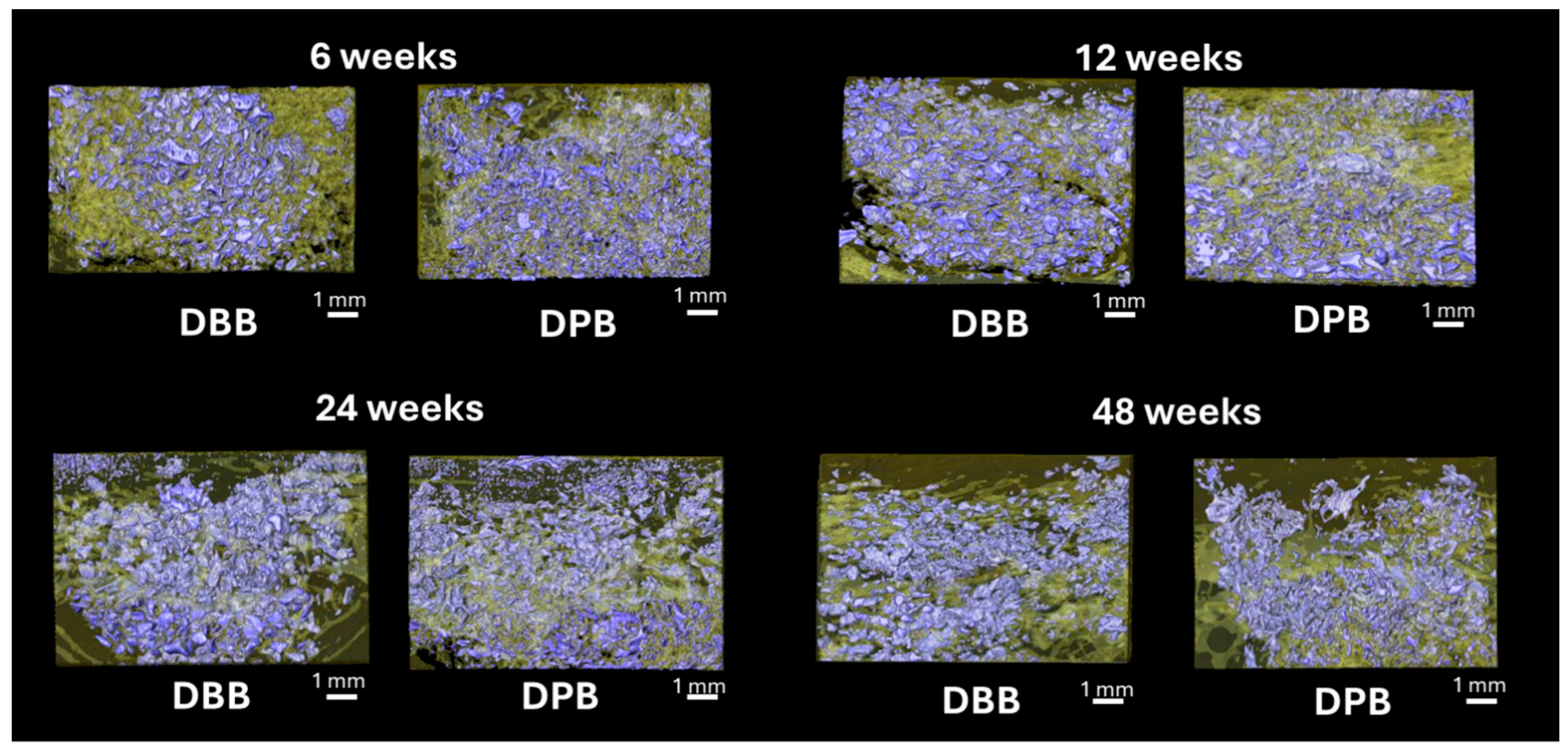 Bioengineering 12 00459 g005