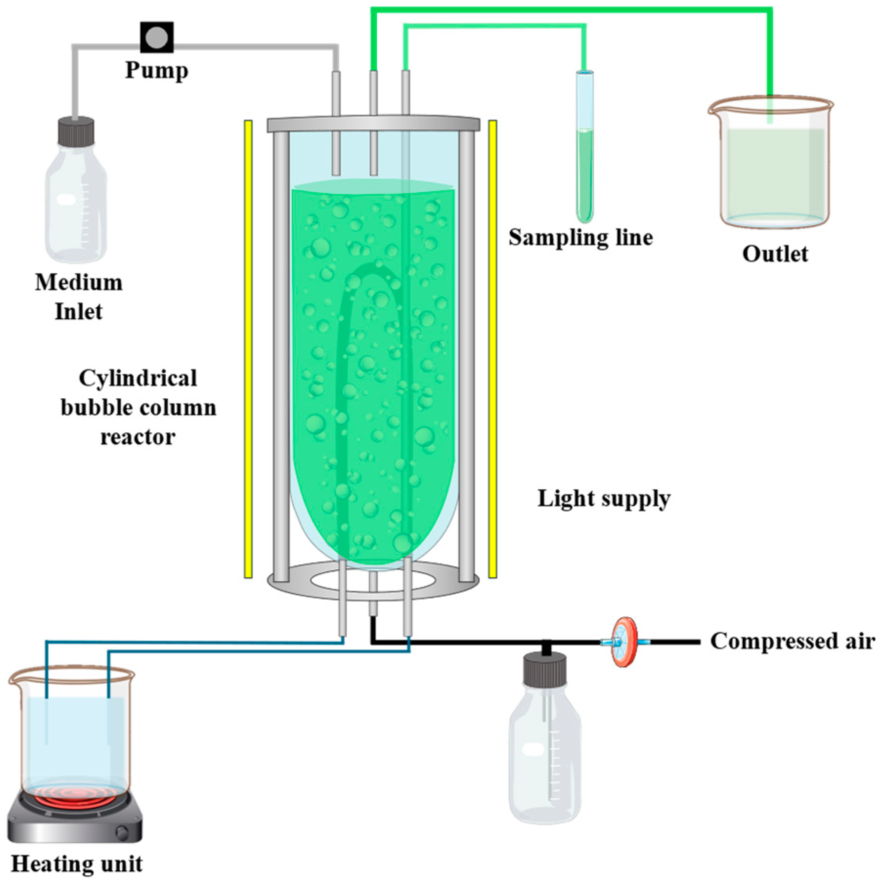Bioengineering 12 00460 g001