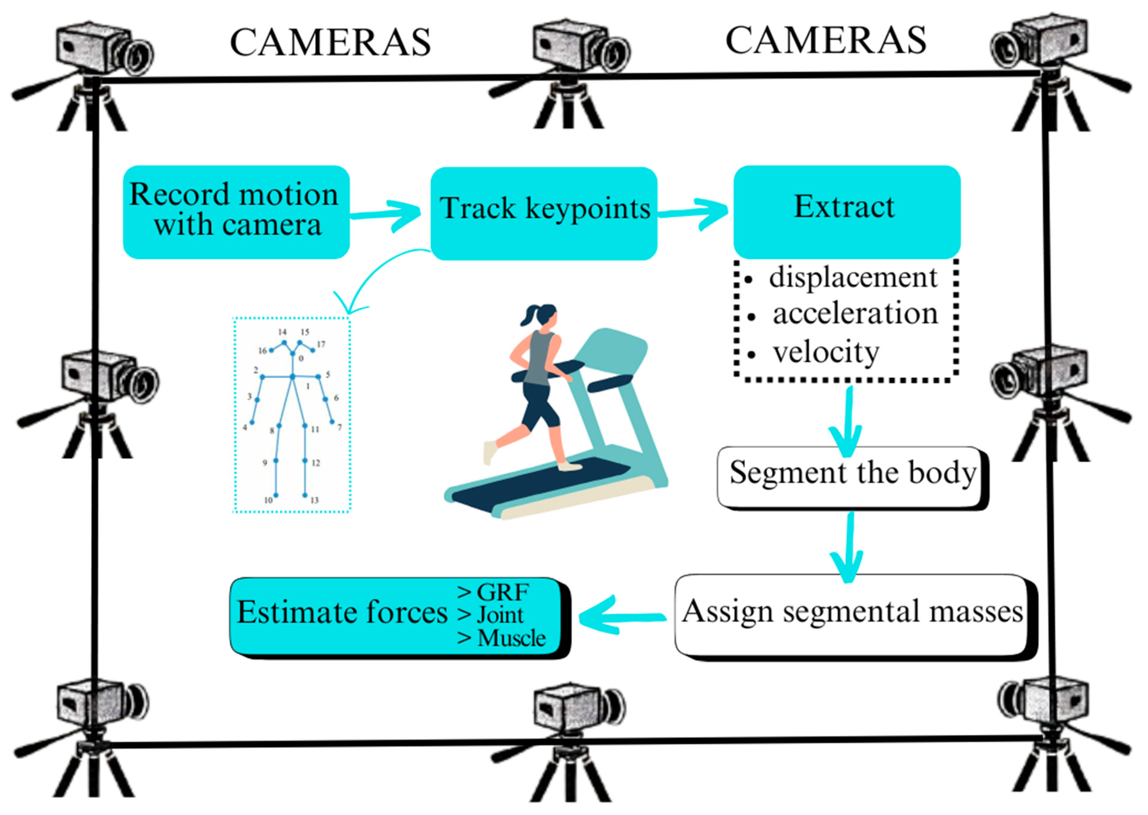 Bioengineering 12 00461 g002