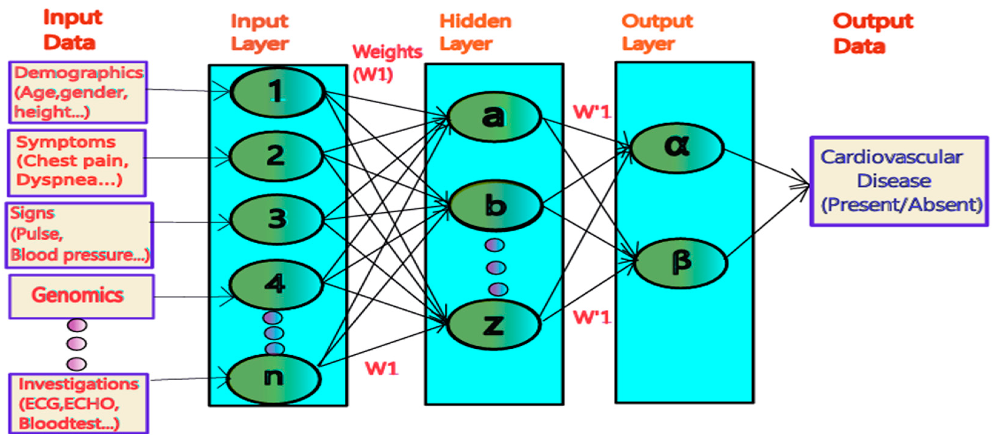 Bioengineering 12 00463 g001
