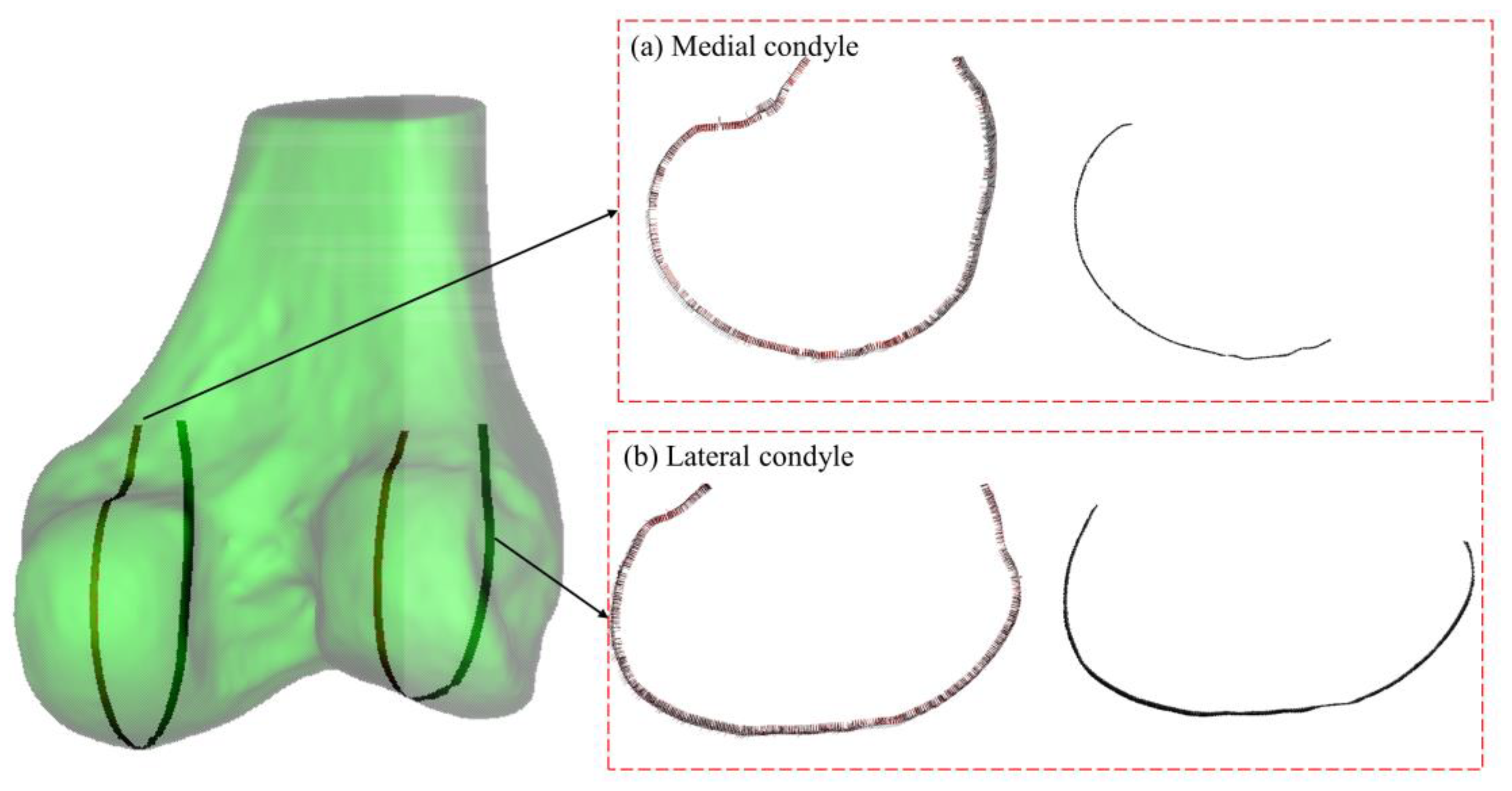 Bioengineering 12 00464 g004