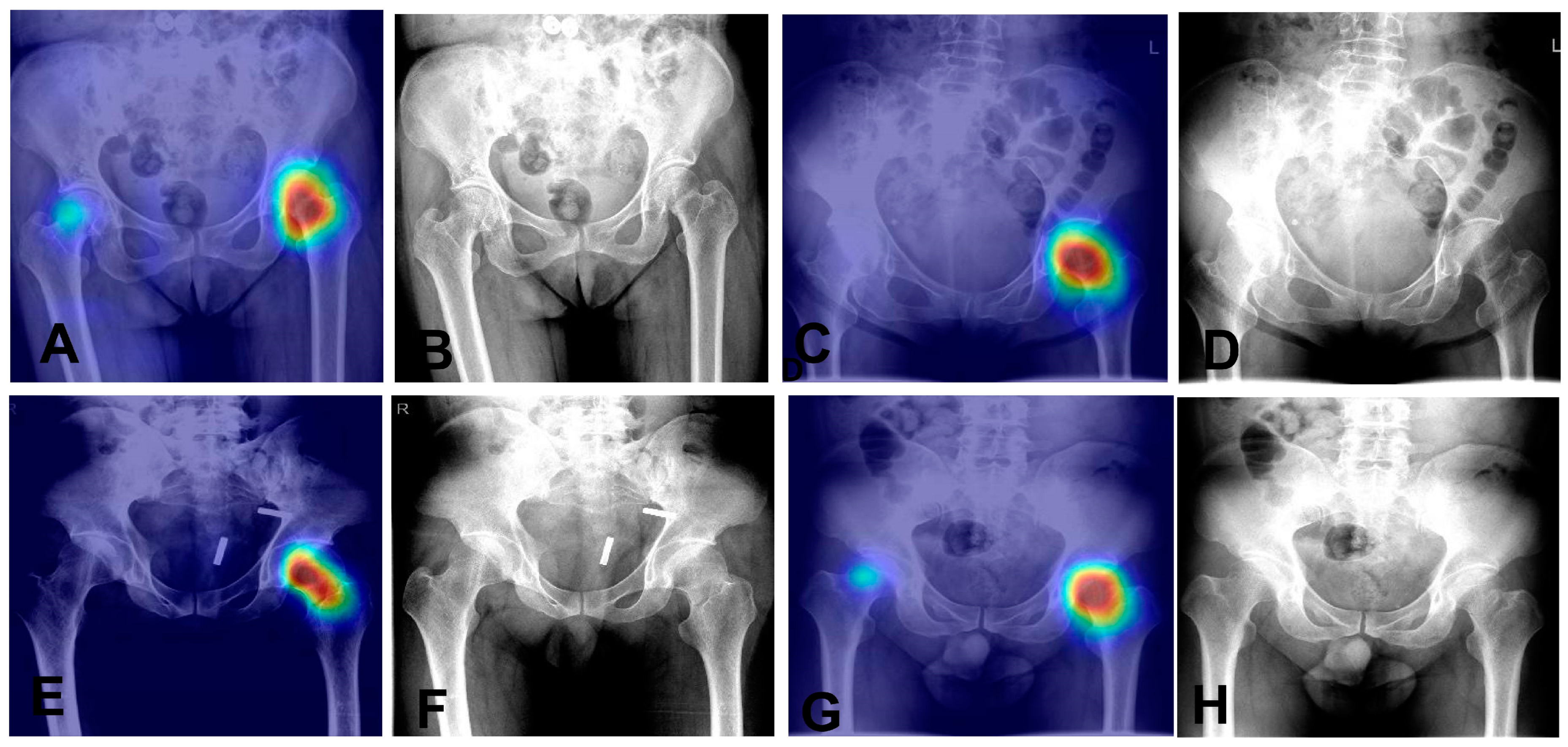 Bioengineering 12 00466 g005