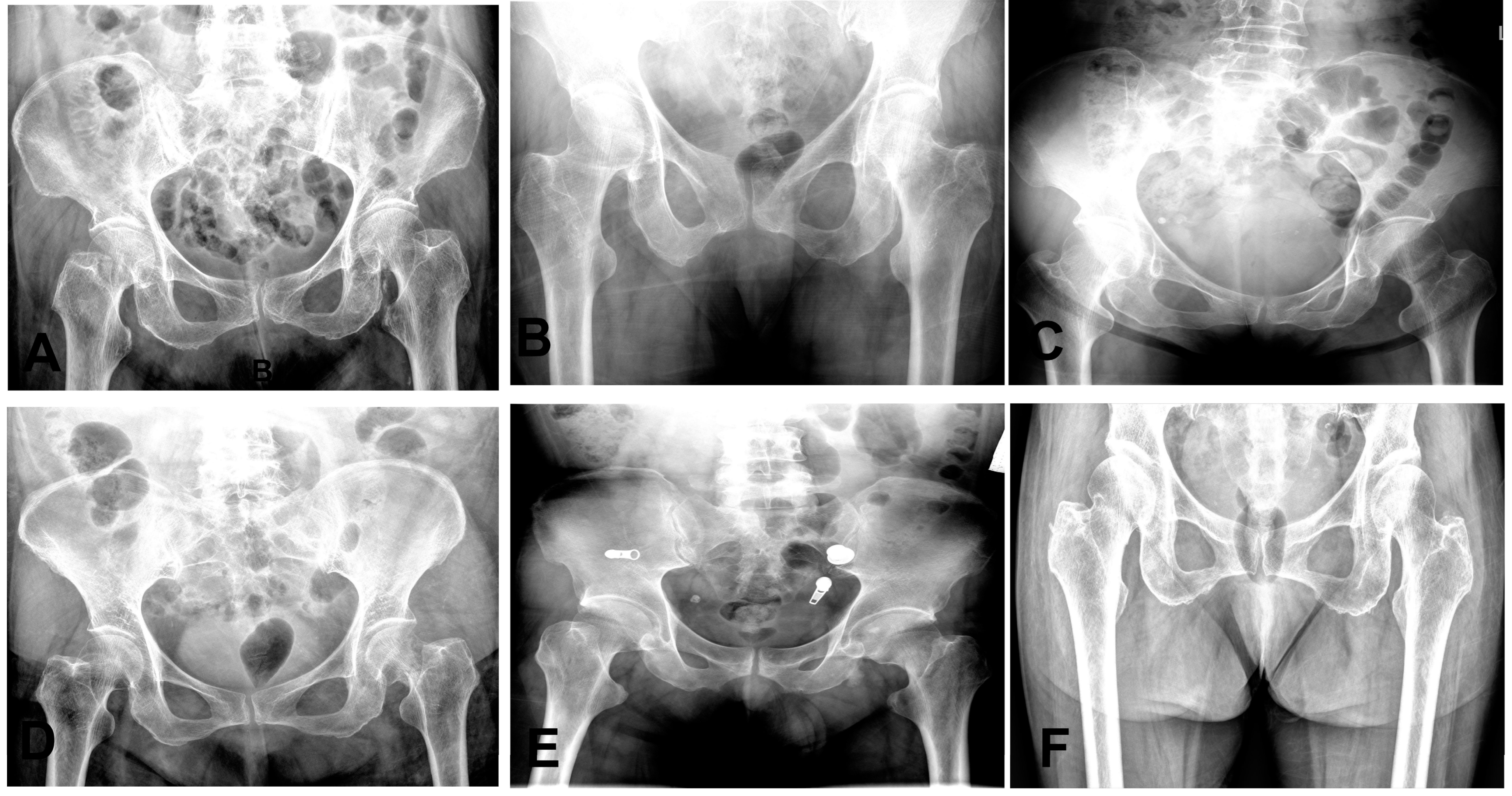 Bioengineering 12 00466 g007