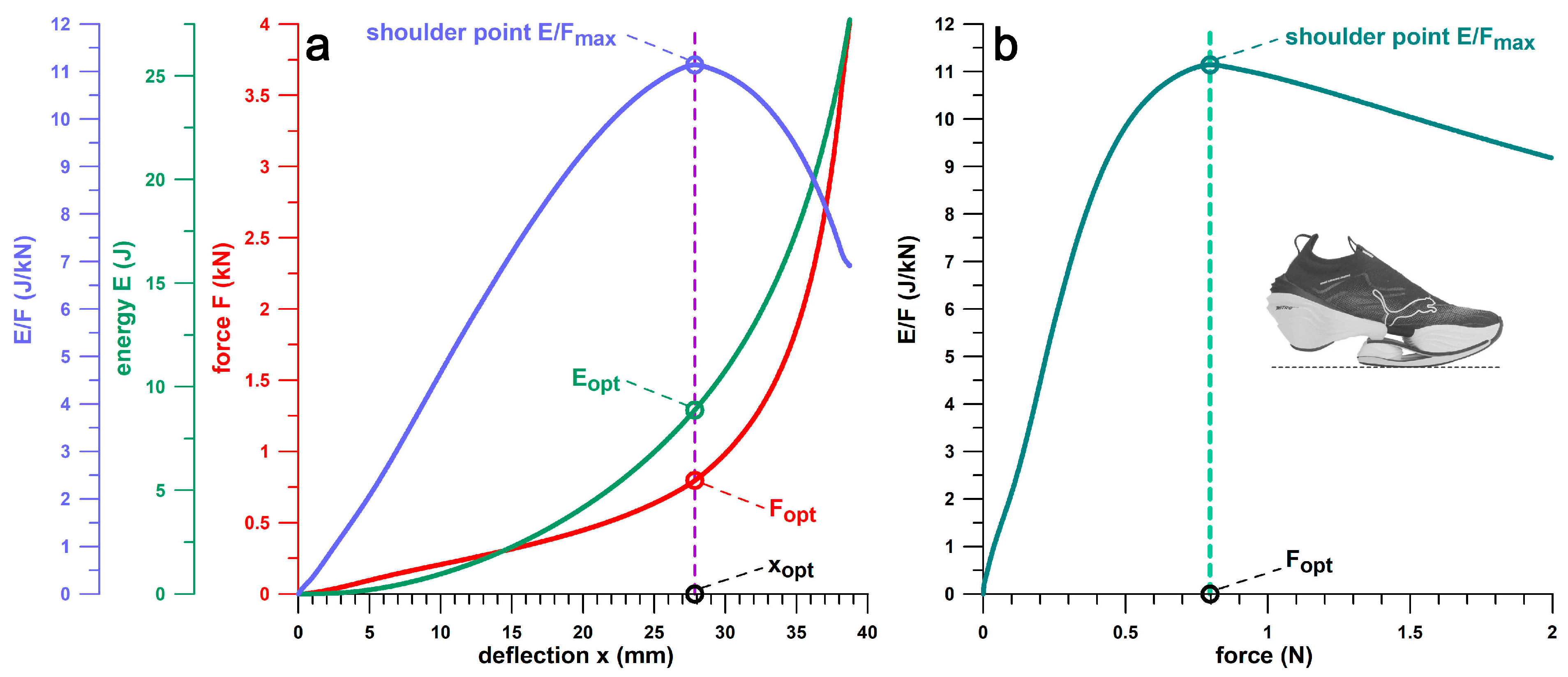 Bioengineering 12 00467 g003
