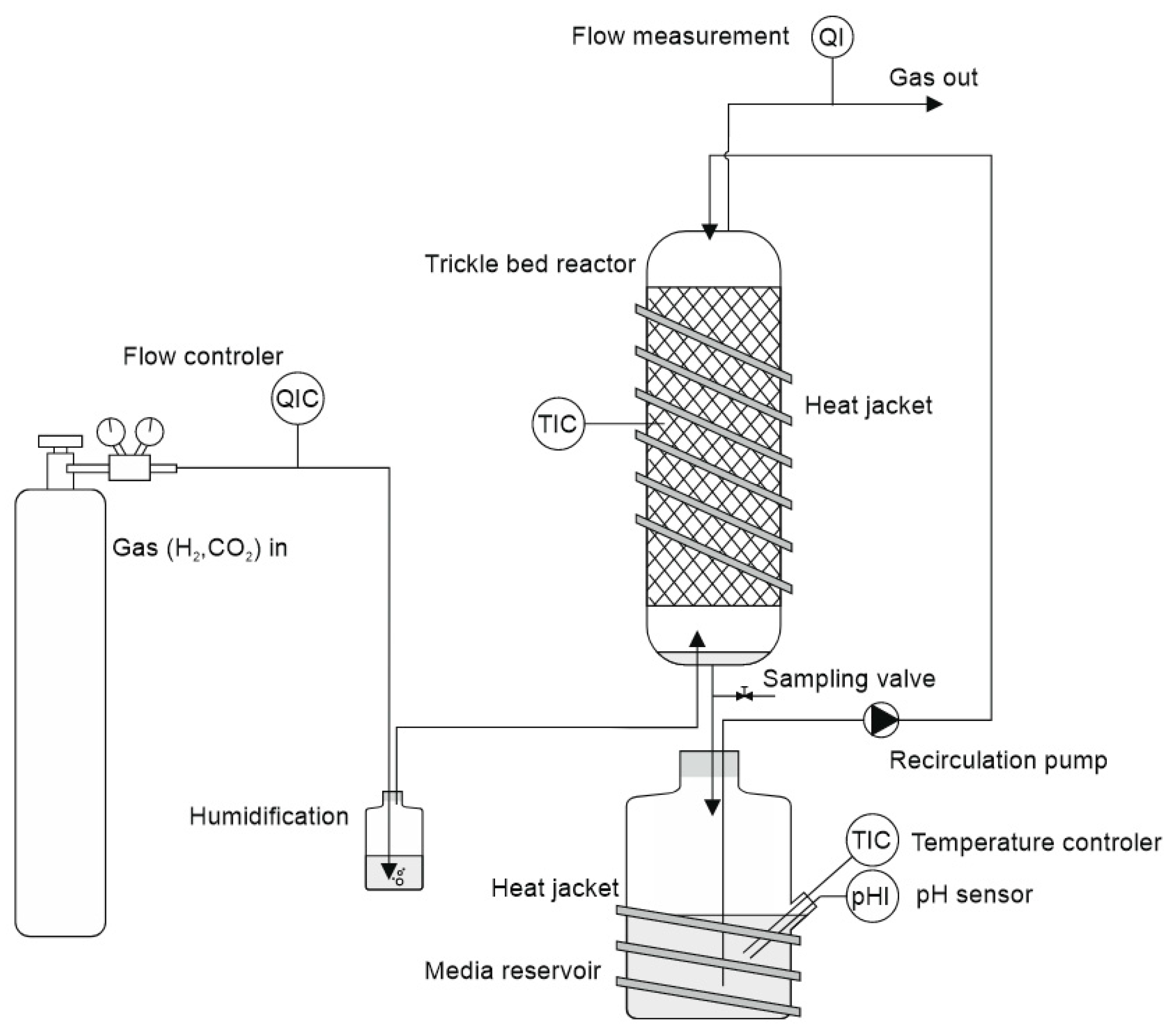 Bioengineering 12 00470 g001