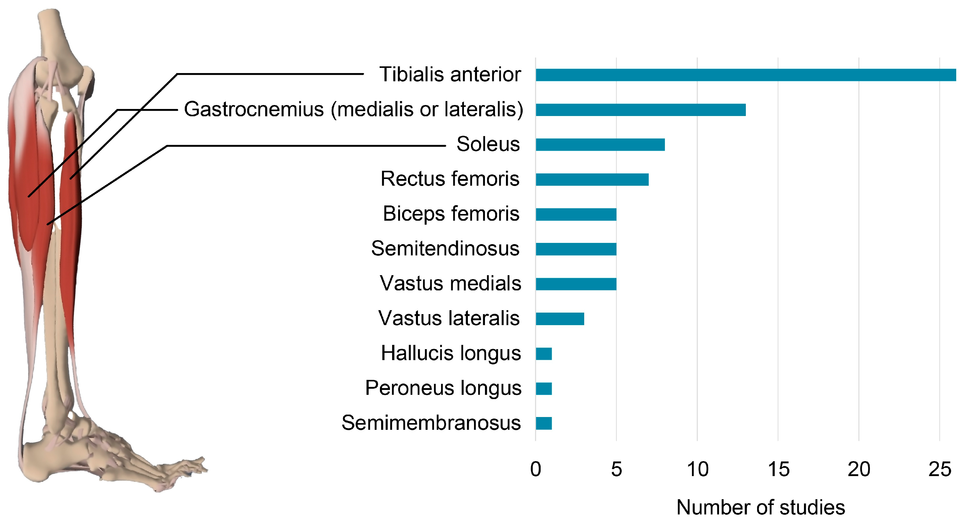 Bioengineering 12 00471 g006