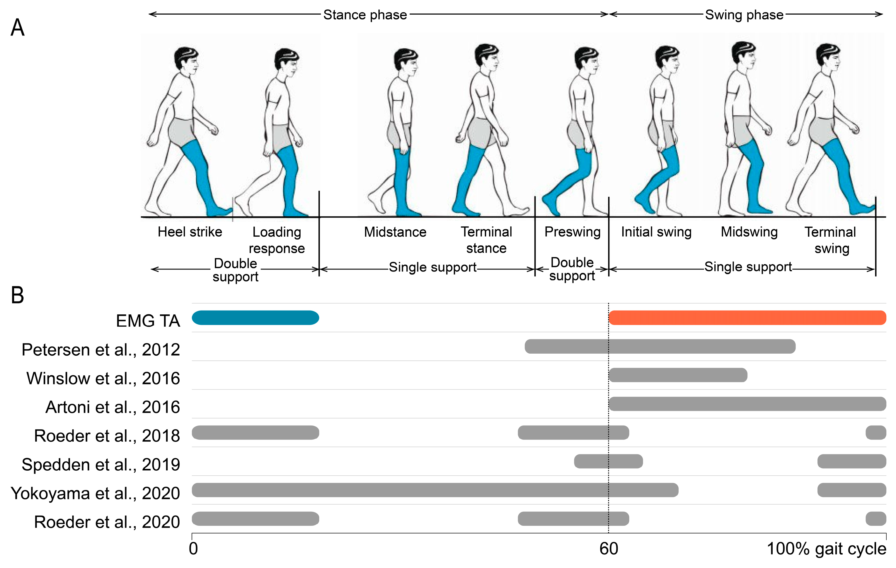 Bioengineering 12 00471 g008