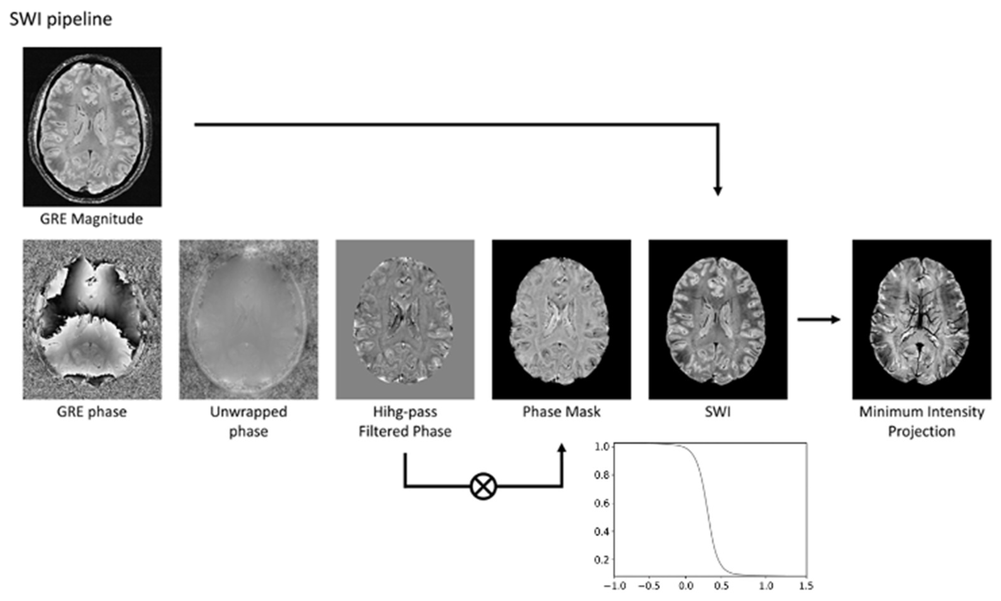 Bioengineering 12 00473 g001