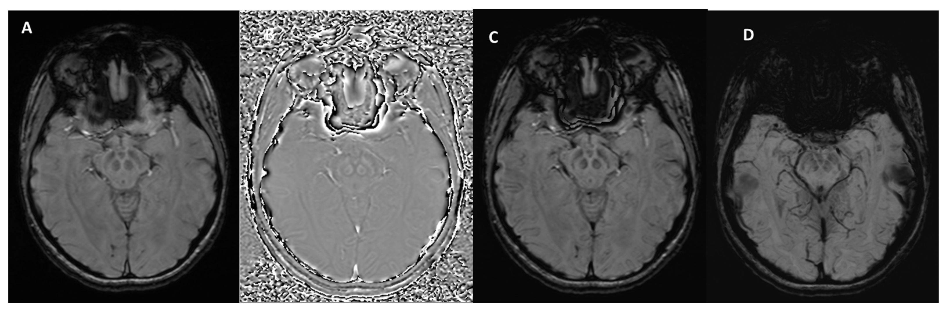 Bioengineering 12 00473 g002